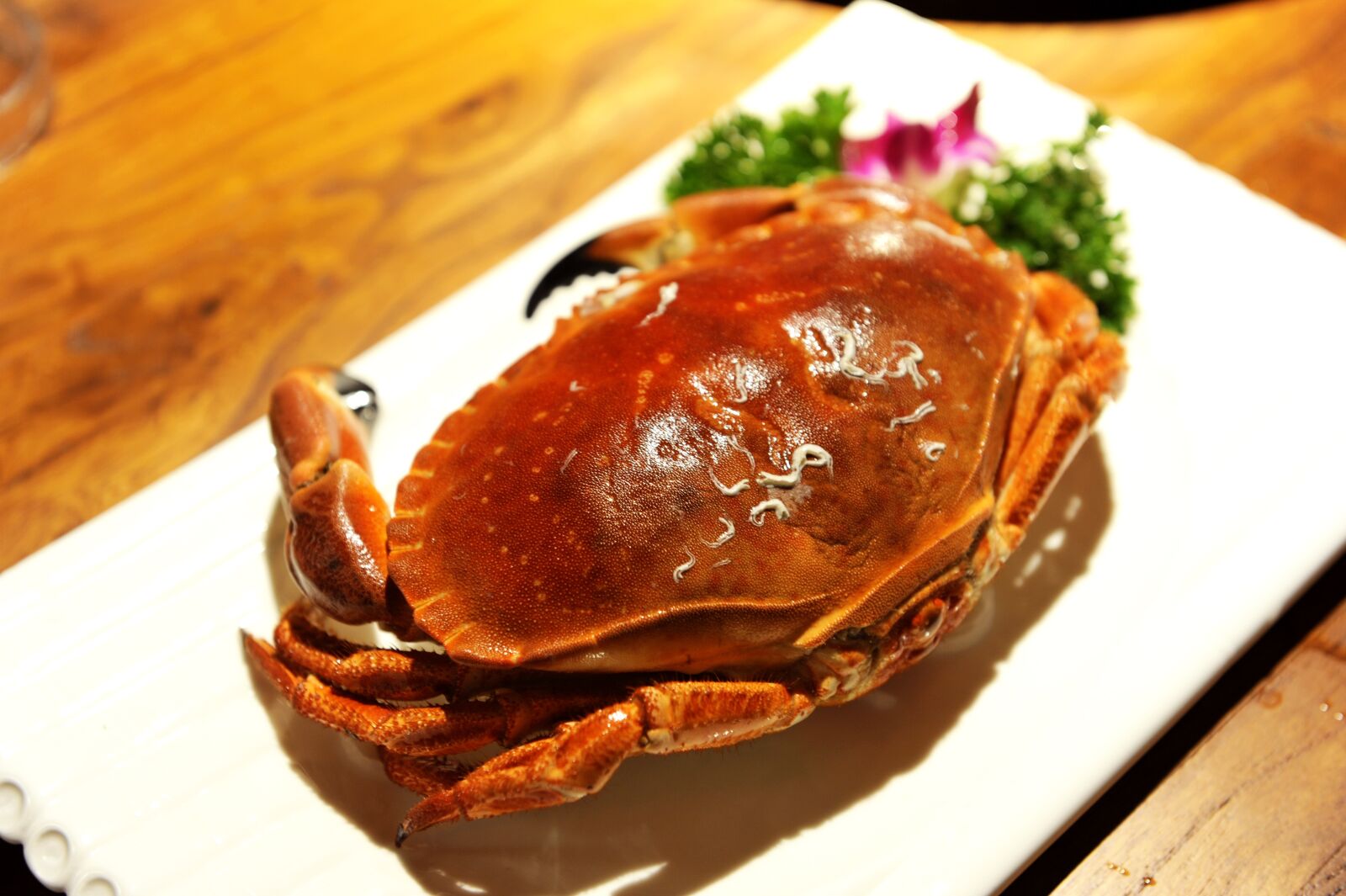 Nikon D700 sample photo. Crab, crab 1, crab 2 photography
