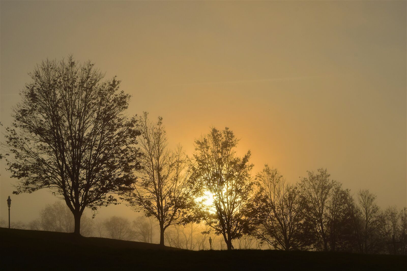 Nikon D3300 sample photo. Sunrise, fog, trees photography