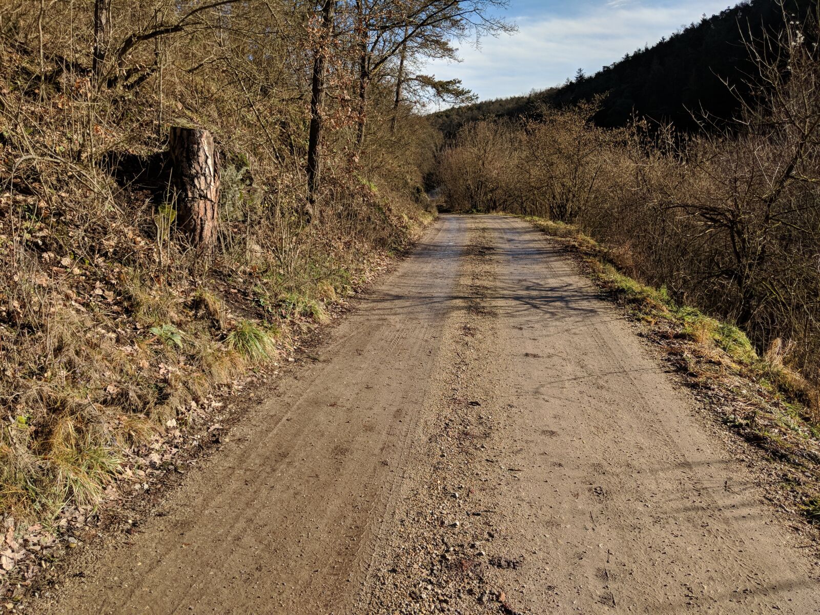 Google Pixel 2 sample photo. Road, nature, away photography