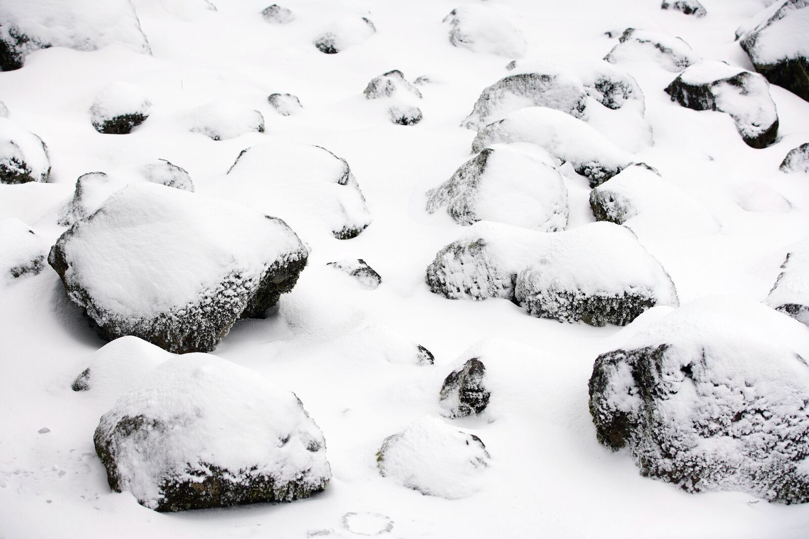 Canon EF 70-200mm F2.8L USM sample photo. Snow, white, winter photography