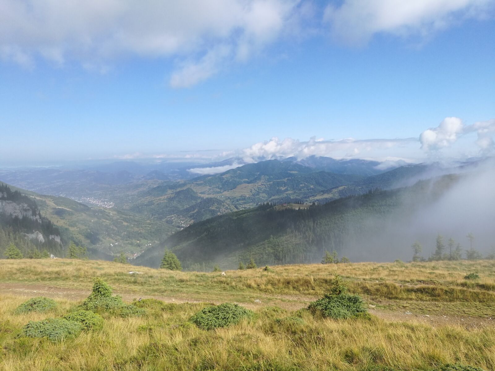 HUAWEI P9 sample photo. The fog, morning mist photography