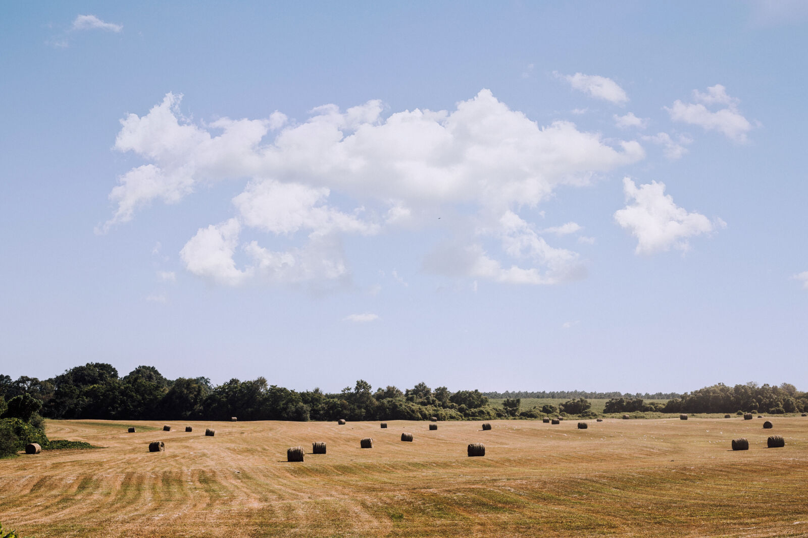 Canon EOS 6D + Canon EF 50mm F1.8 STM sample photo. Clouds, country, field, hay photography
