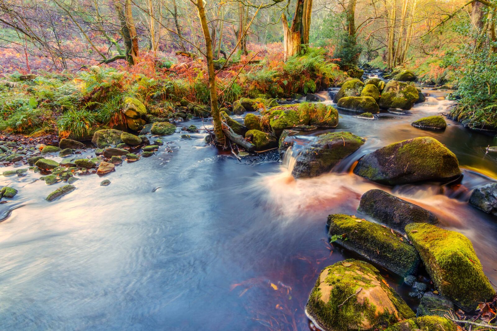 Nikon D7100 sample photo. Landscape, nature, wood, stream photography