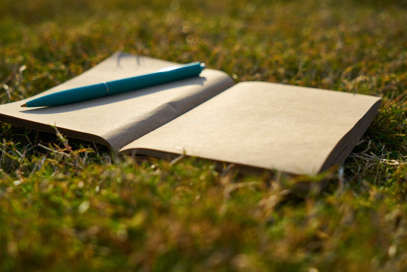 Sony a7R II sample photo. Notebook, pen, is empty photography