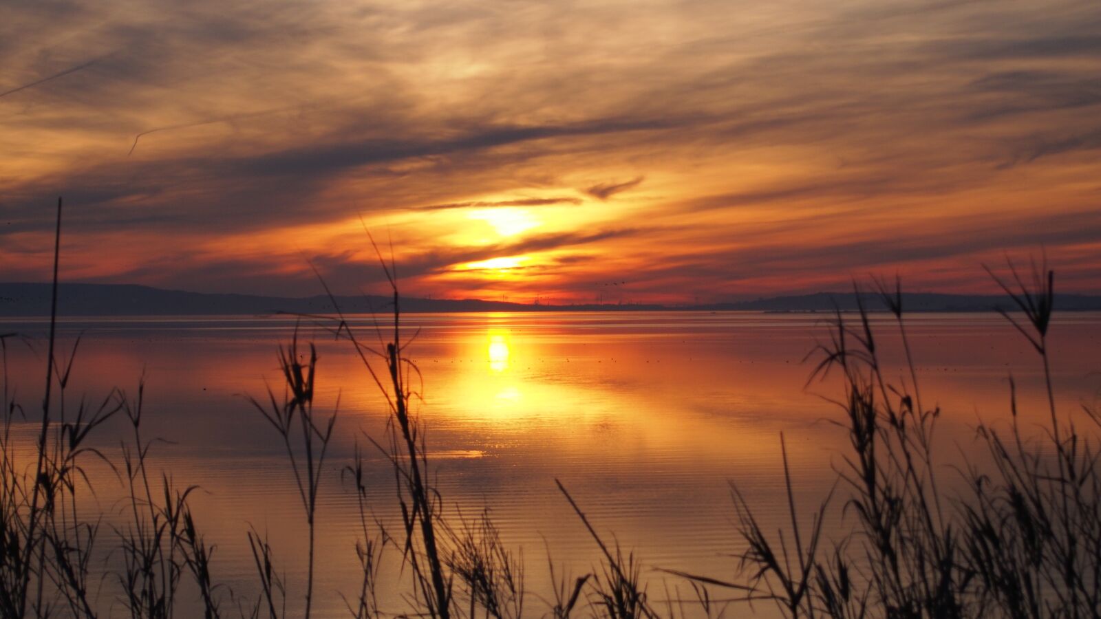 Olympus PEN E-PL6 sample photo. Sunset, evening, light photography