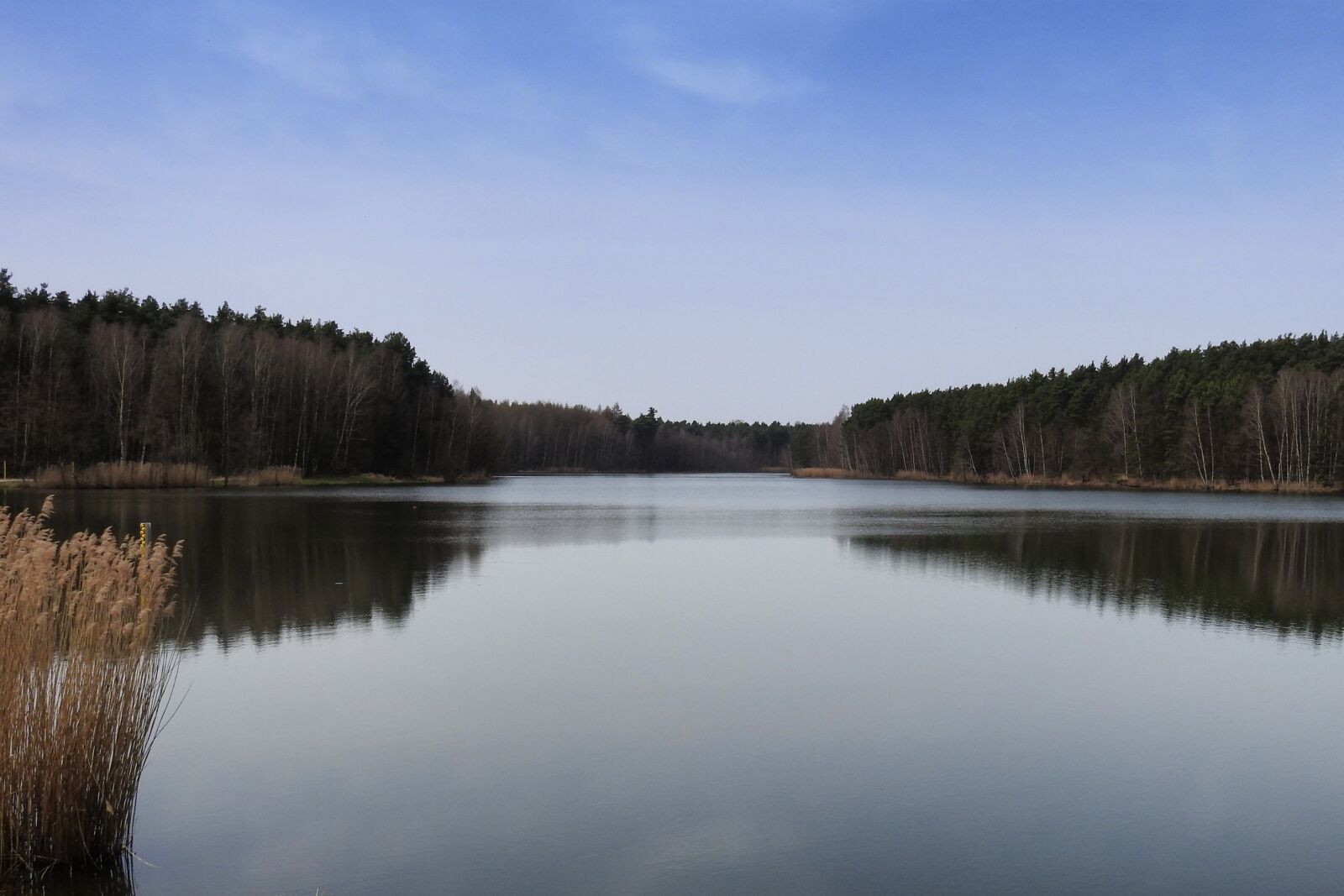 Nikon Coolpix P900 sample photo. Lake, trees, reflection photography