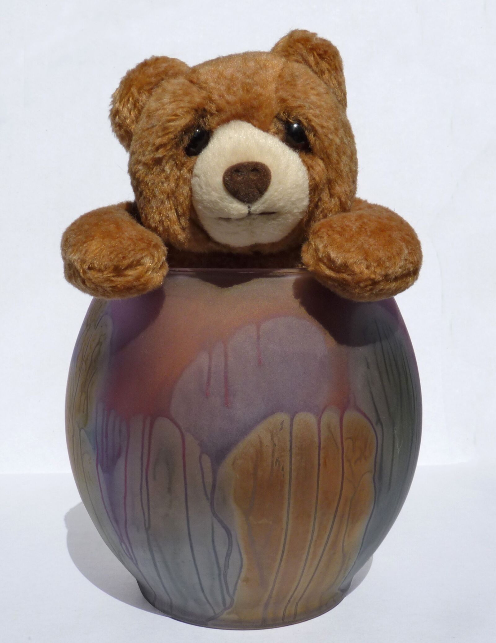 Panasonic Lumix DMC-FZ35 (Lumix DMC-FZ38) sample photo. Bear, stuffed animal, toy photography