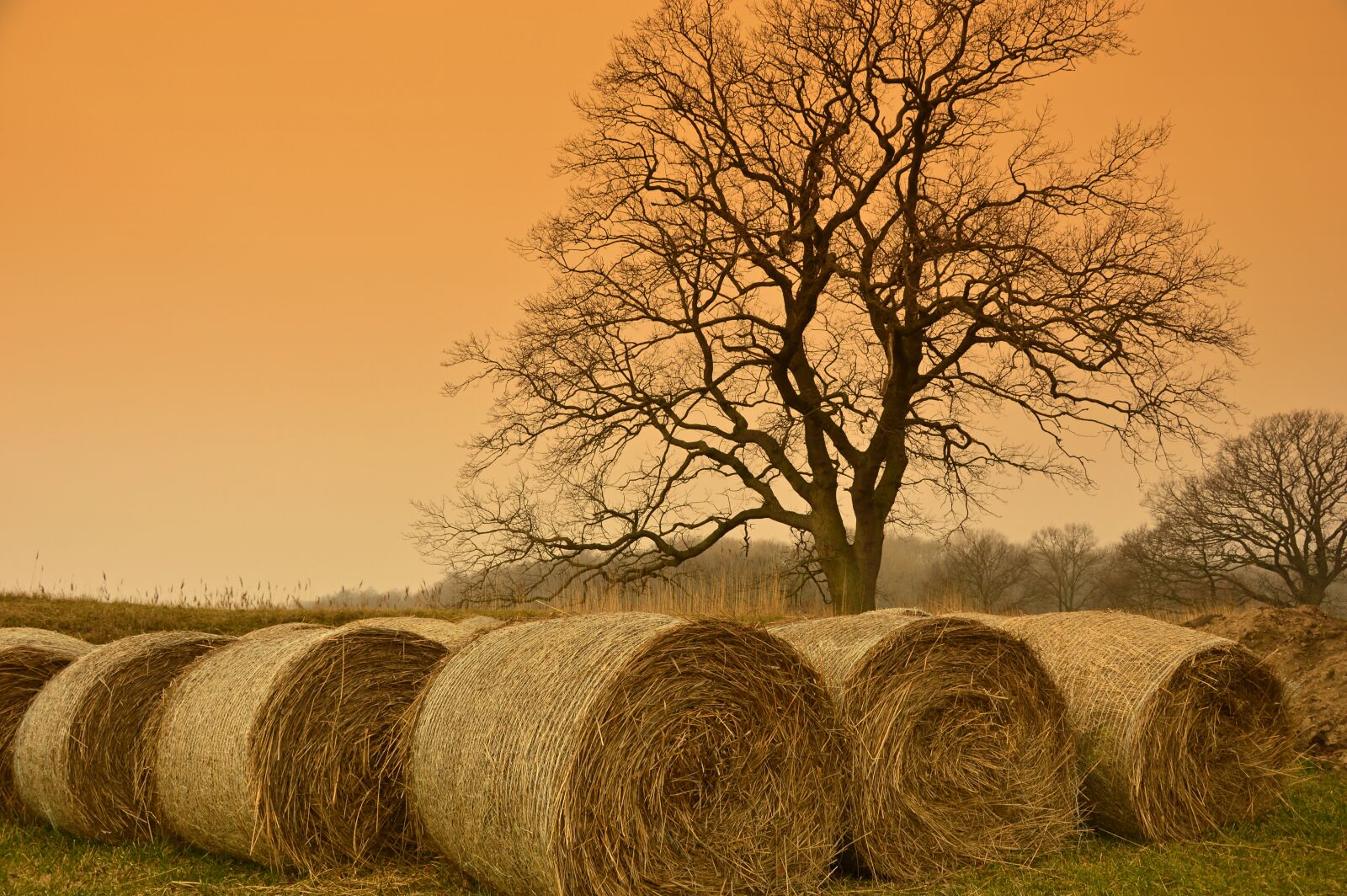 Nikon D3200 sample photo. Straw bales, straw, hay photography