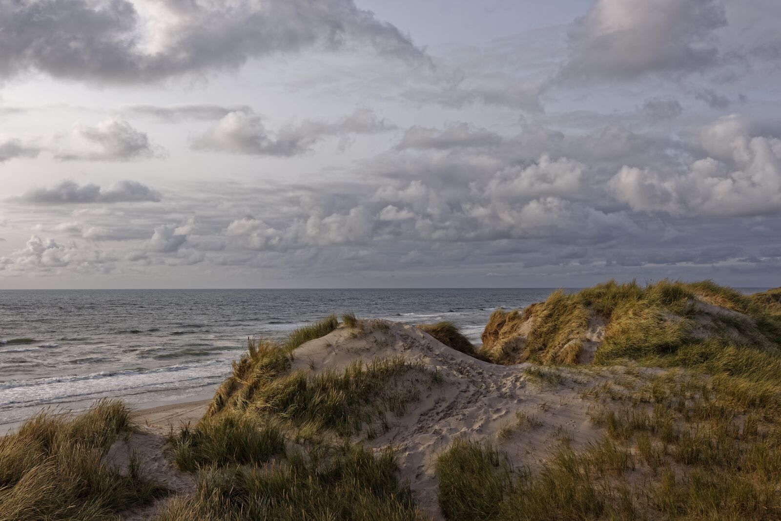 Canon EF-S 24mm F2.8 STM sample photo. Landscape, nature, north sea photography