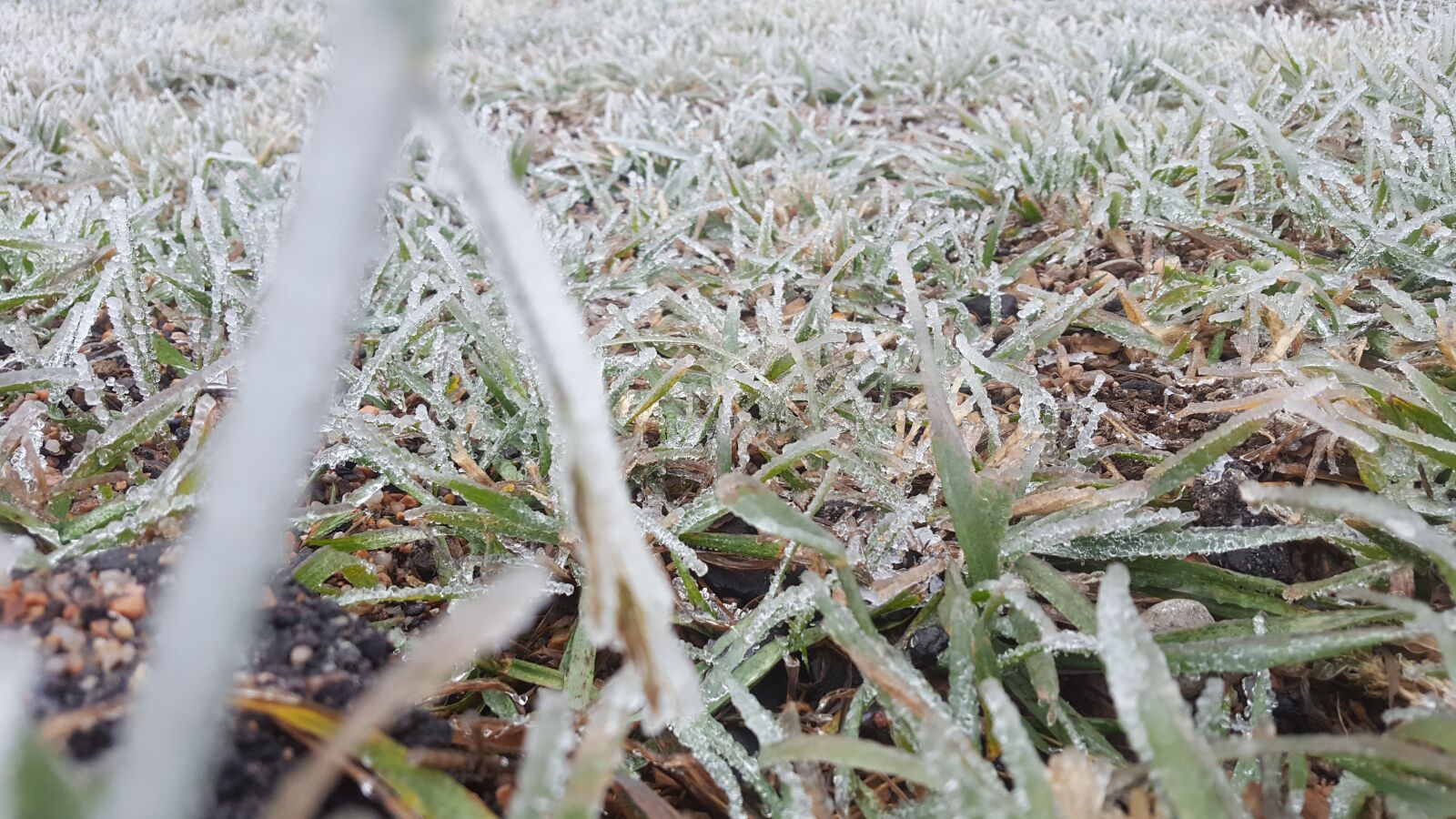 Samsung Galaxy S6 sample photo. Idaho, west, midwest photography