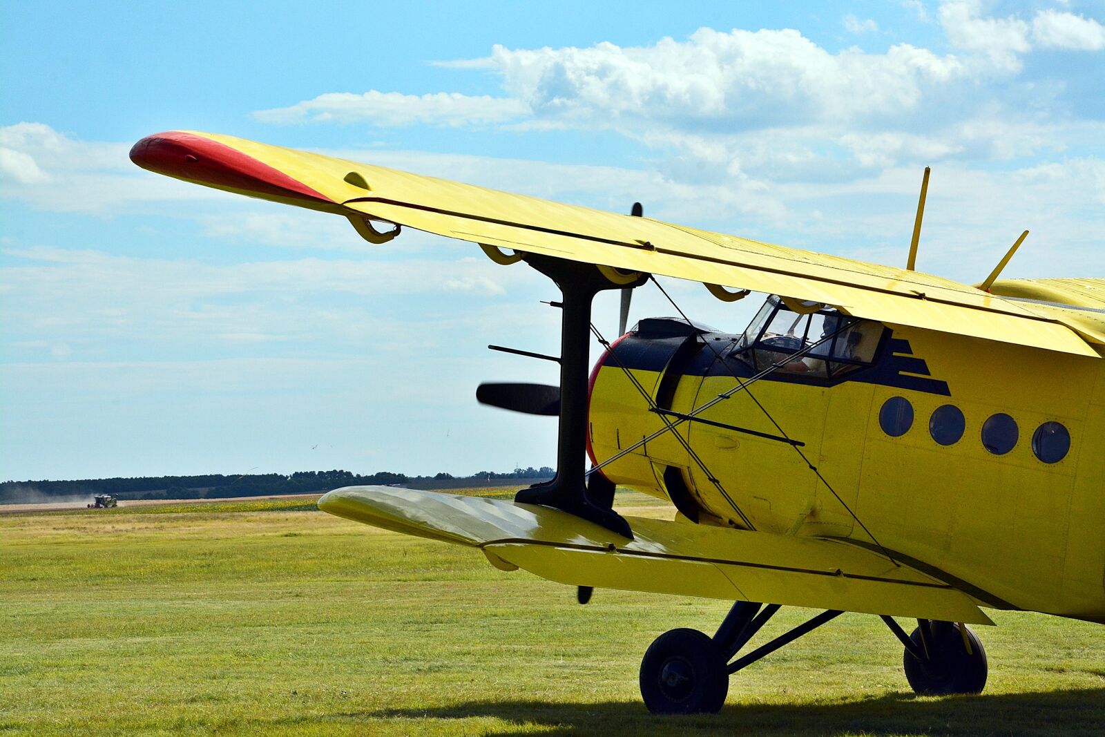 Nikon D7100 sample photo. Flying, yellow, sky photography