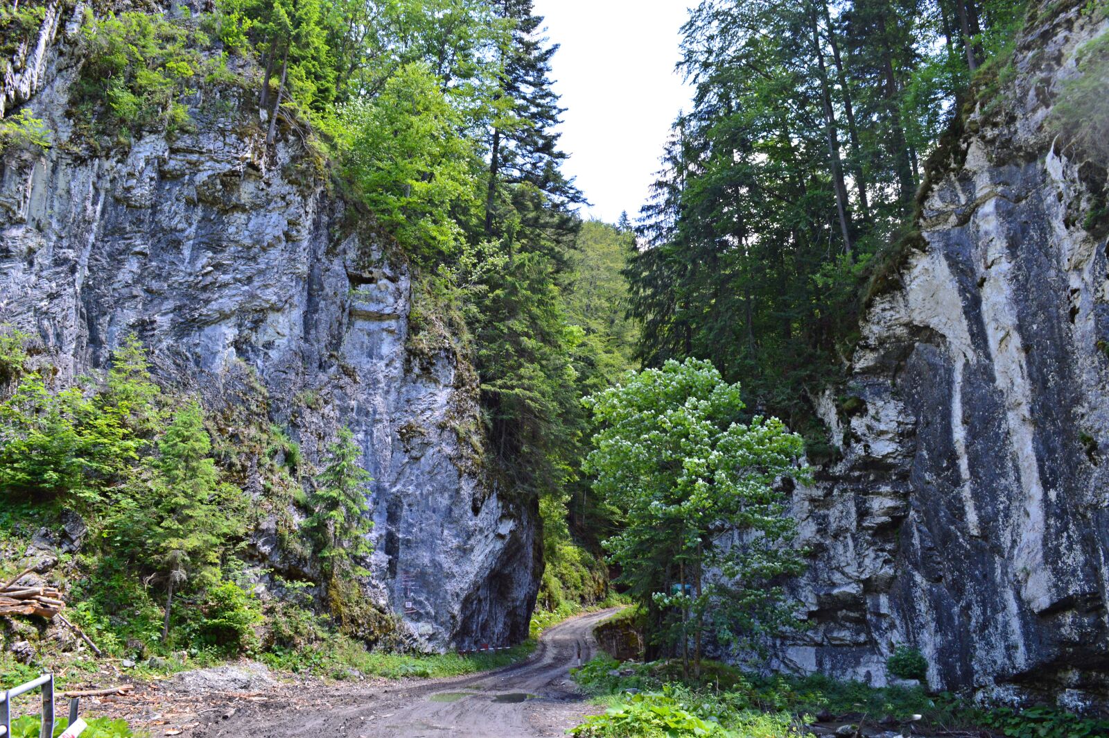 Nikon D3200 sample photo. Mountain, road, landscape photography