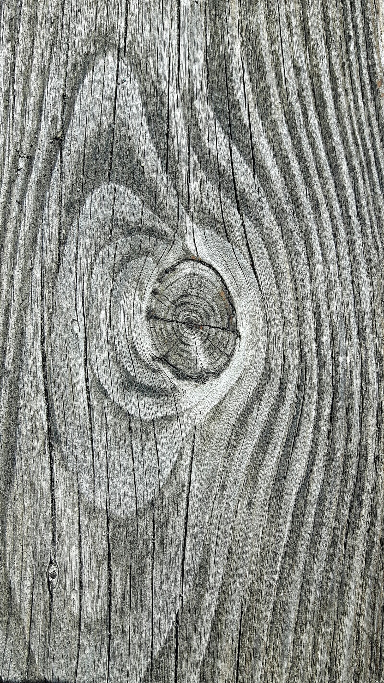 Samsung Galaxy S5 Neo sample photo. Wood, node, texture photography