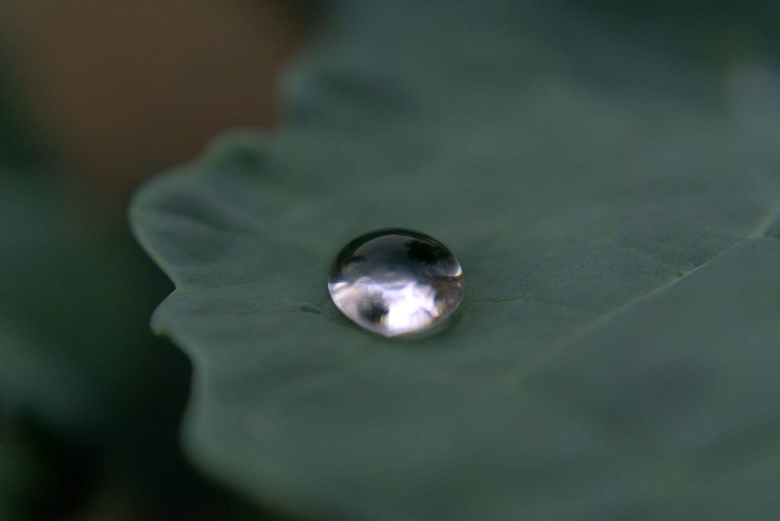 Sony a6000 sample photo. Drop of water, drip photography