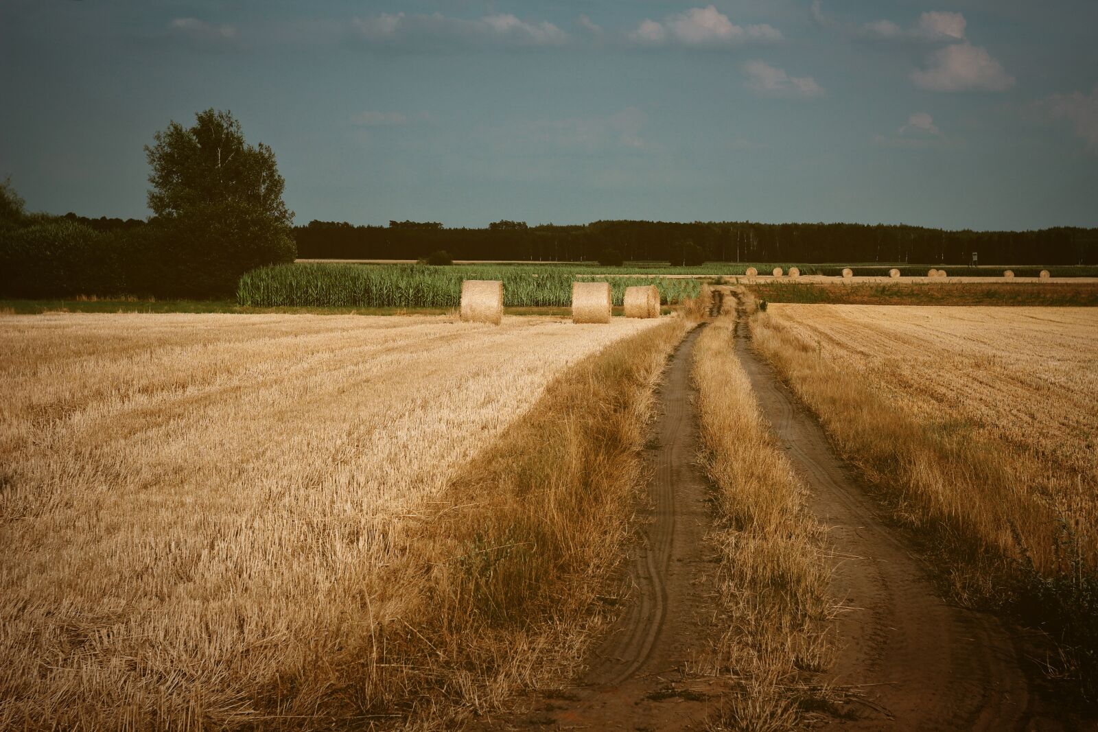 Canon EOS 1200D (EOS Rebel T5 / EOS Kiss X70 / EOS Hi) sample photo. Way, village, harvest photography