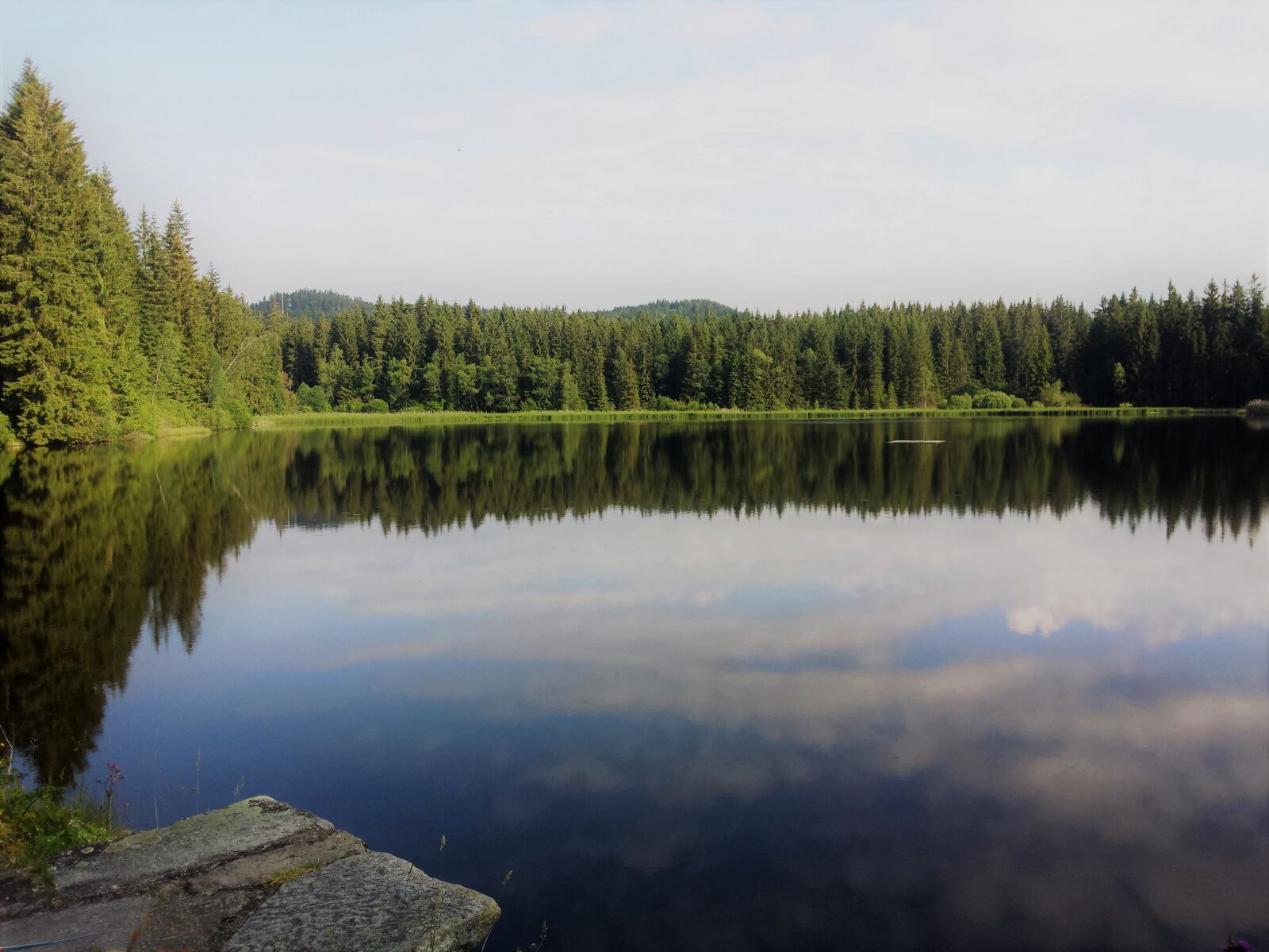 Samsung Galaxy S4 sample photo. Nature, moor, wetland photography