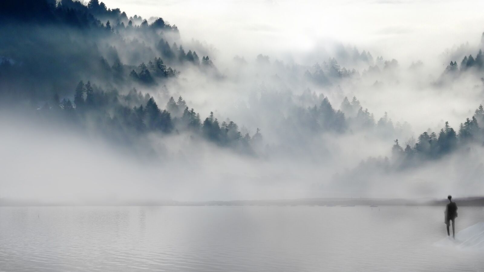 Nikon D3100 sample photo. Broken heart, lake, water photography