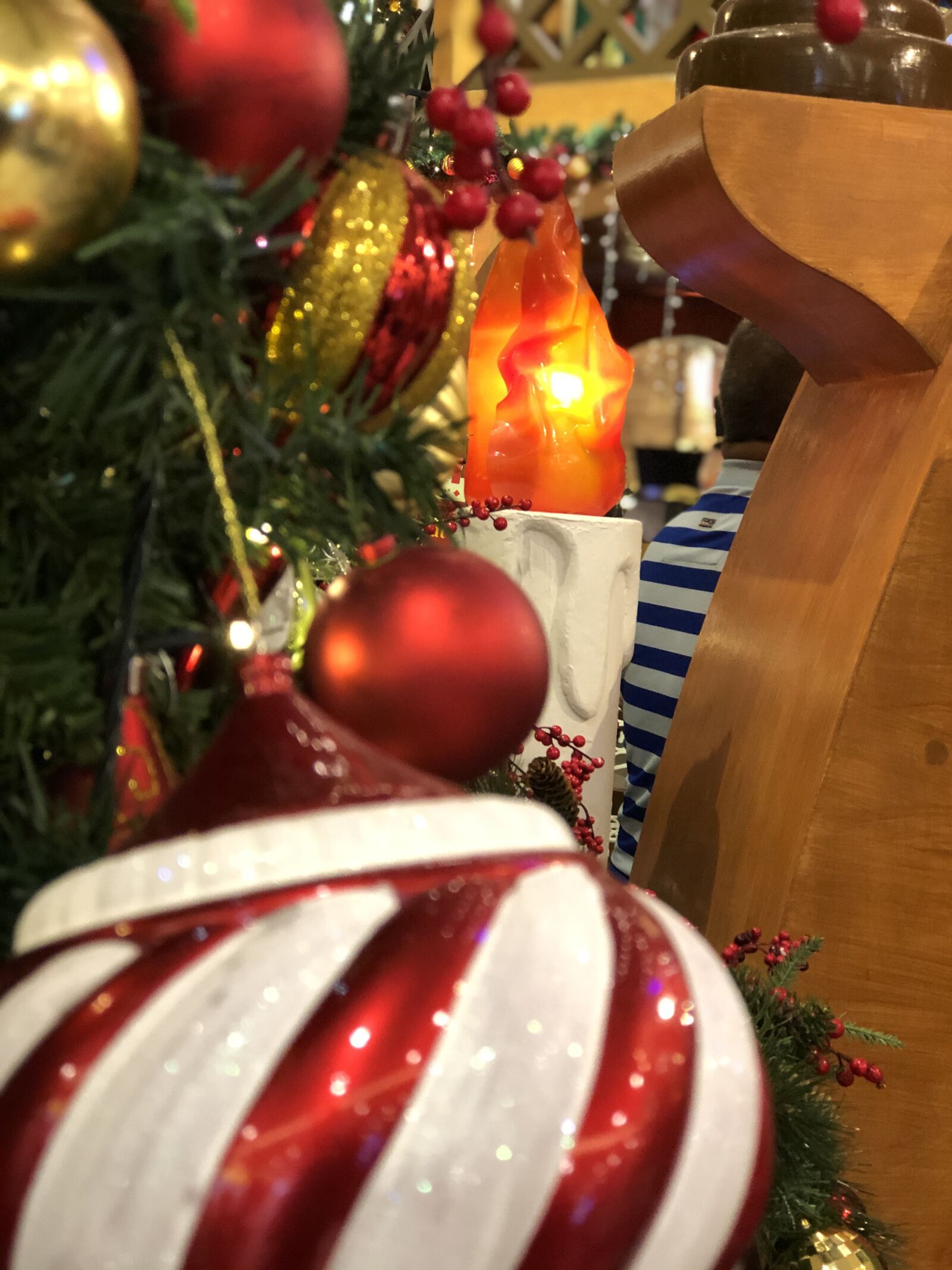 iPhone 8 Plus back dual camera 6.6mm f/2.8 sample photo. Happiness, joy, holidays photography