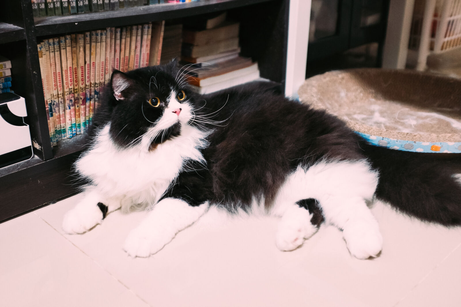 Fujifilm X100T sample photo