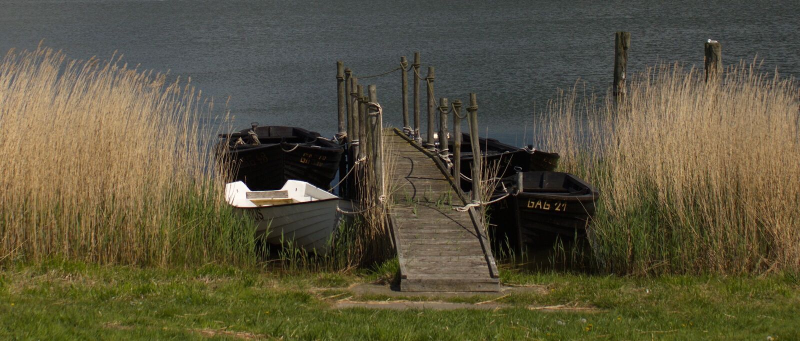Canon EOS 550D (EOS Rebel T2i / EOS Kiss X4) sample photo. Germany, r gen island photography
