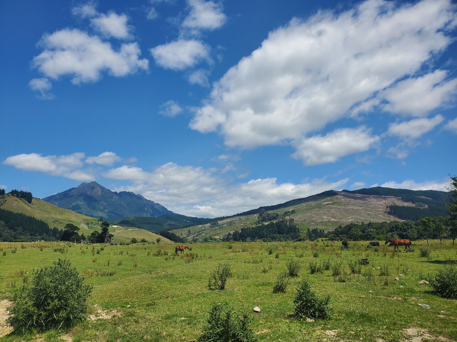 Samsung Galaxy S10e sample photo. Nature, plains, hills photography
