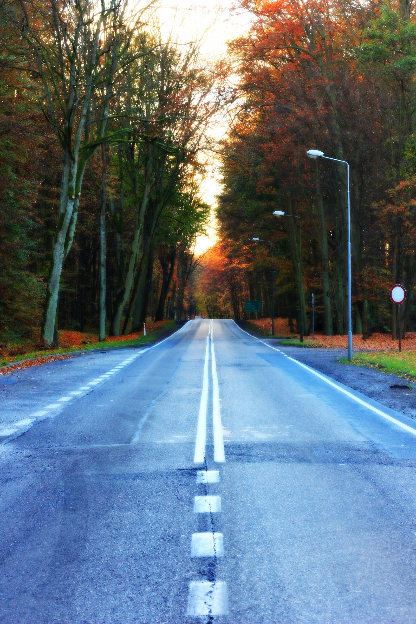 Canon EOS 60D + Canon EF 50mm F1.8 II sample photo. Way, autumn, west photography