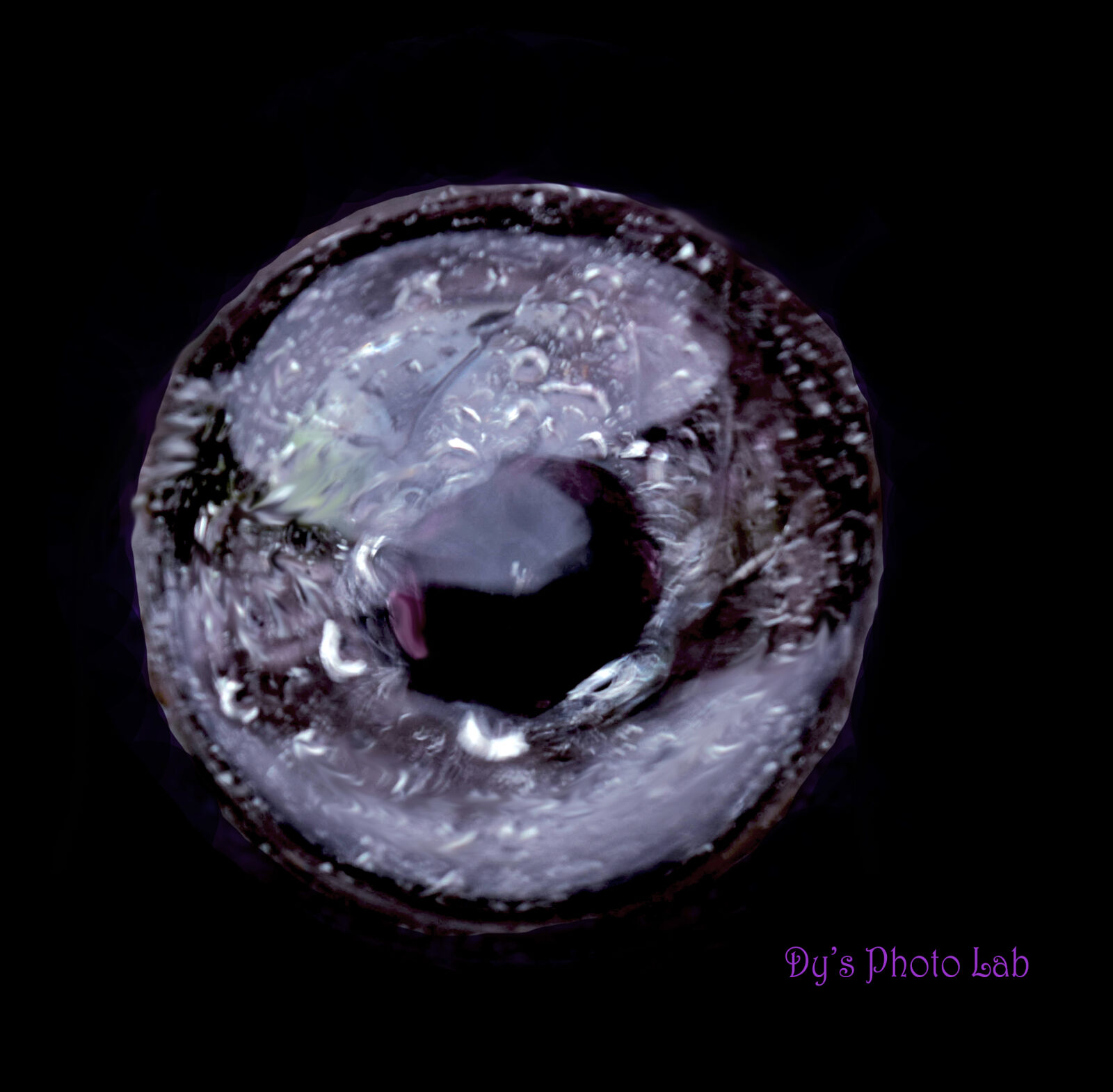 Nikon D3300 sample photo. Art, water, wine, glass photography