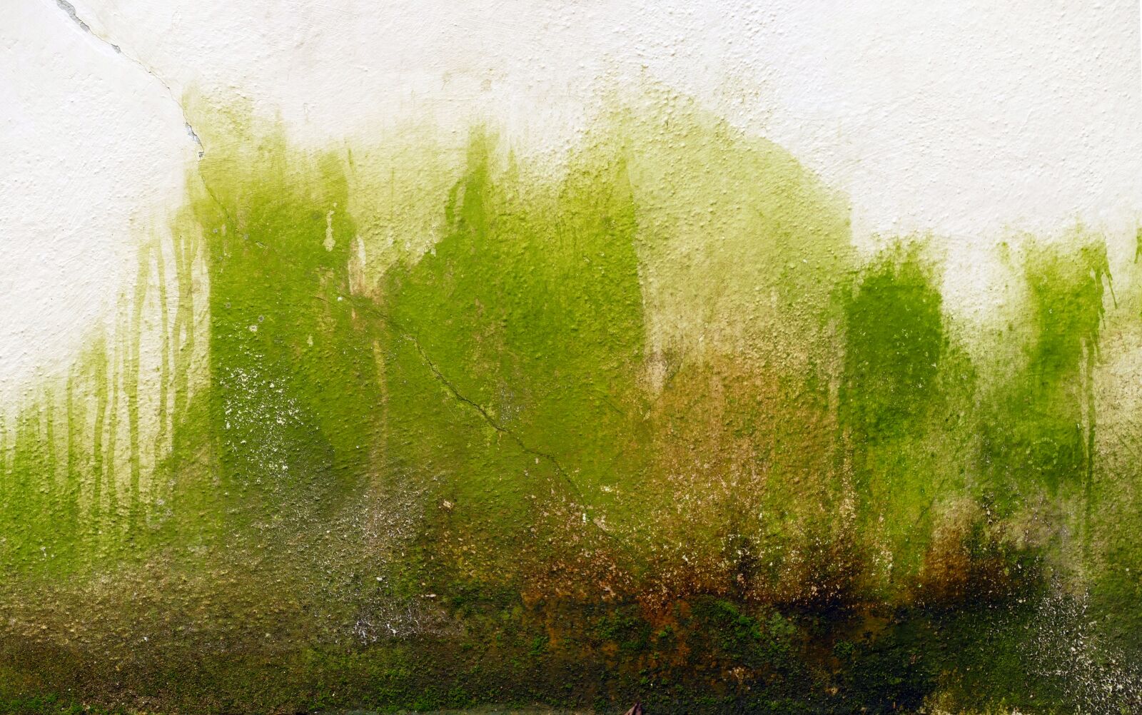 Panasonic Lumix DMC-FZ1000 sample photo. Green, greenscape, landscape photography