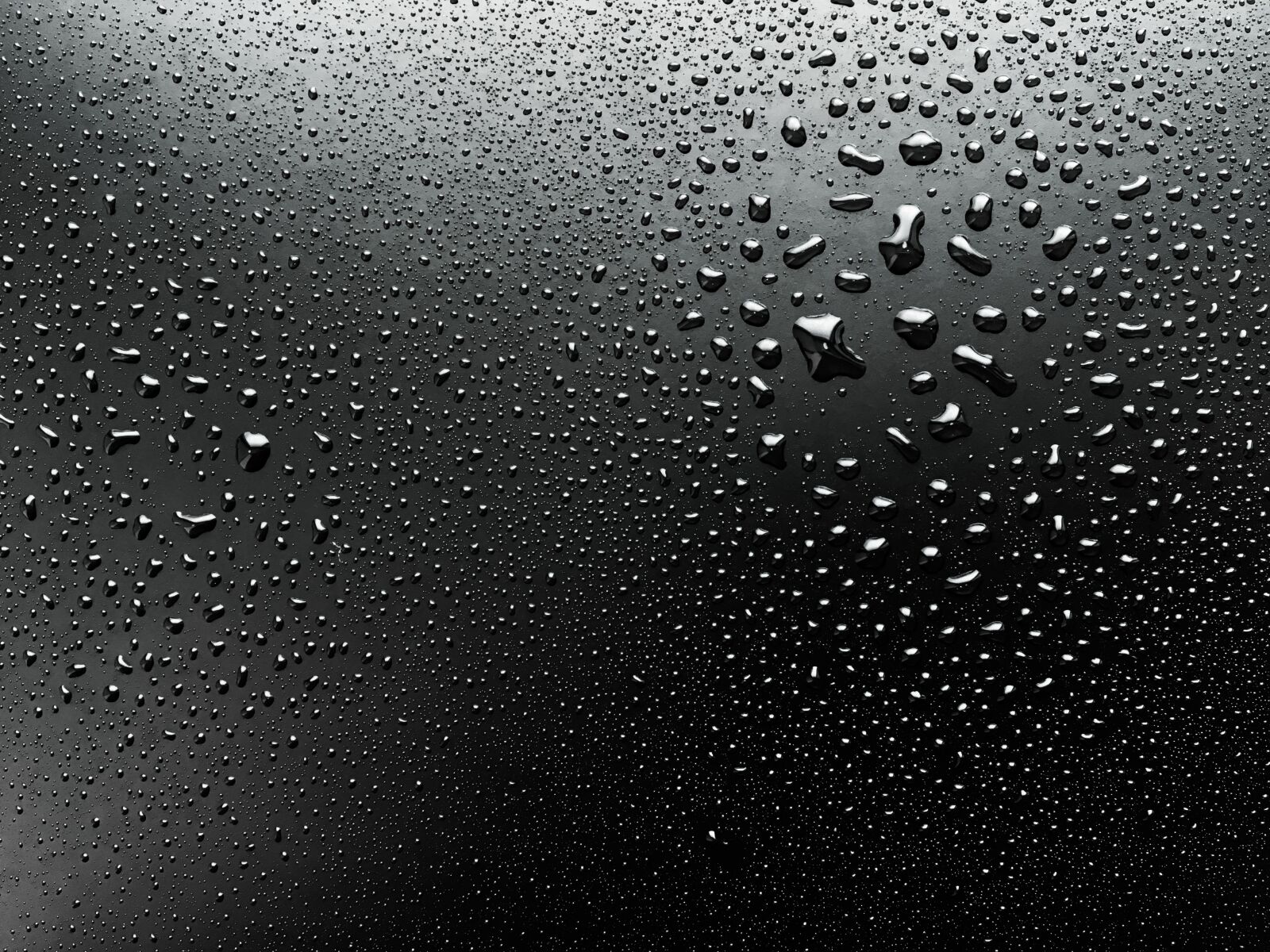 Apple iPhone 6s sample photo. Water droplets, dew, wet photography