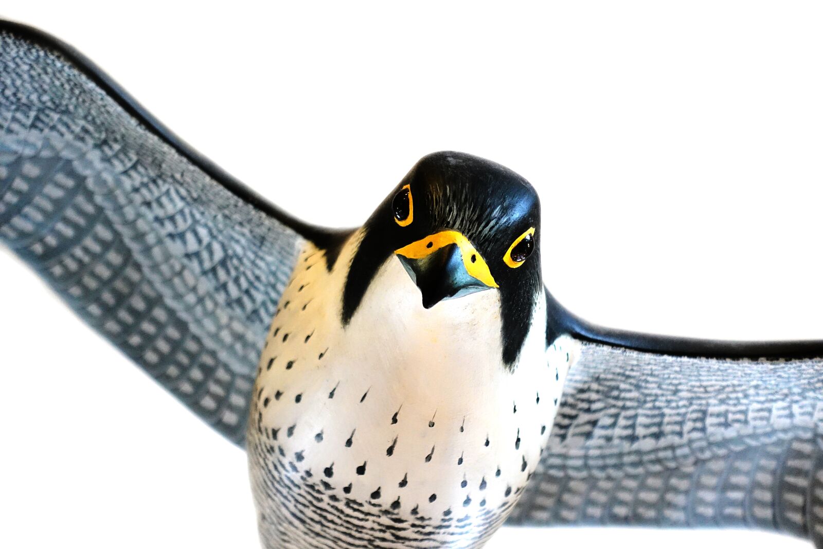 Sony DSC-RX100M5 sample photo. Peregrine, falcon, bird photography