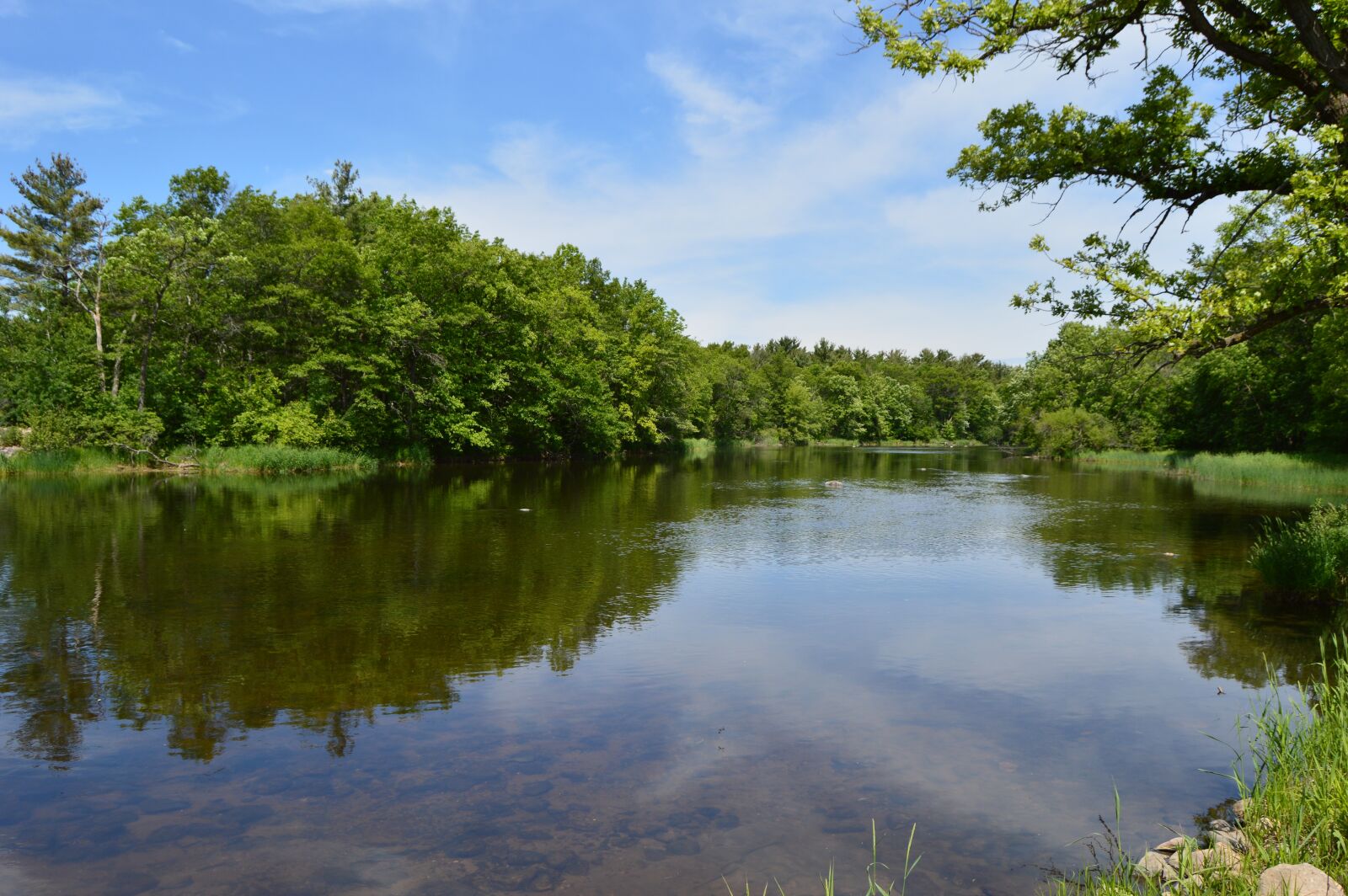 Nikon D3200 sample photo. Red cedar river, stream photography
