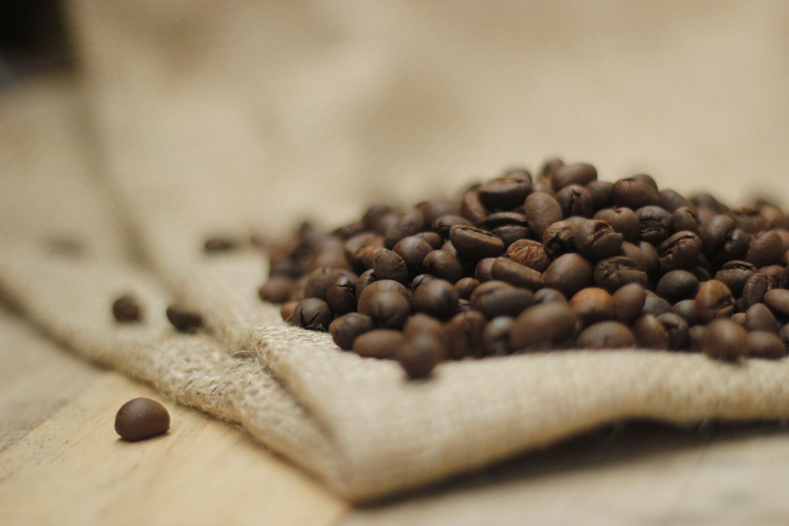 Canon EOS 550D (EOS Rebel T2i / EOS Kiss X4) sample photo. Coffee, coffee beans, aroma photography