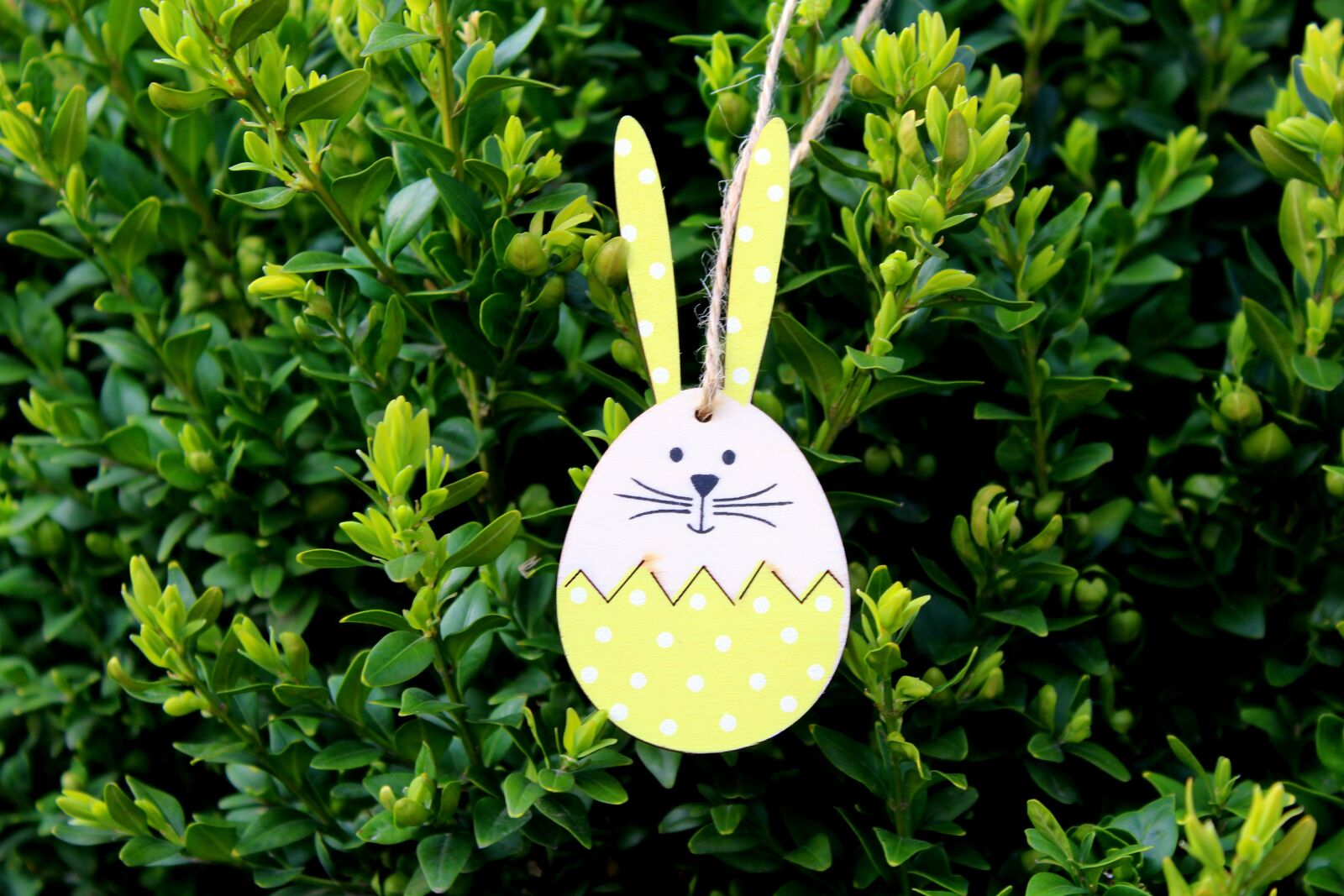 Canon EOS 1200D (EOS Rebel T5 / EOS Kiss X70 / EOS Hi) sample photo. Hare, decoration, easter photography