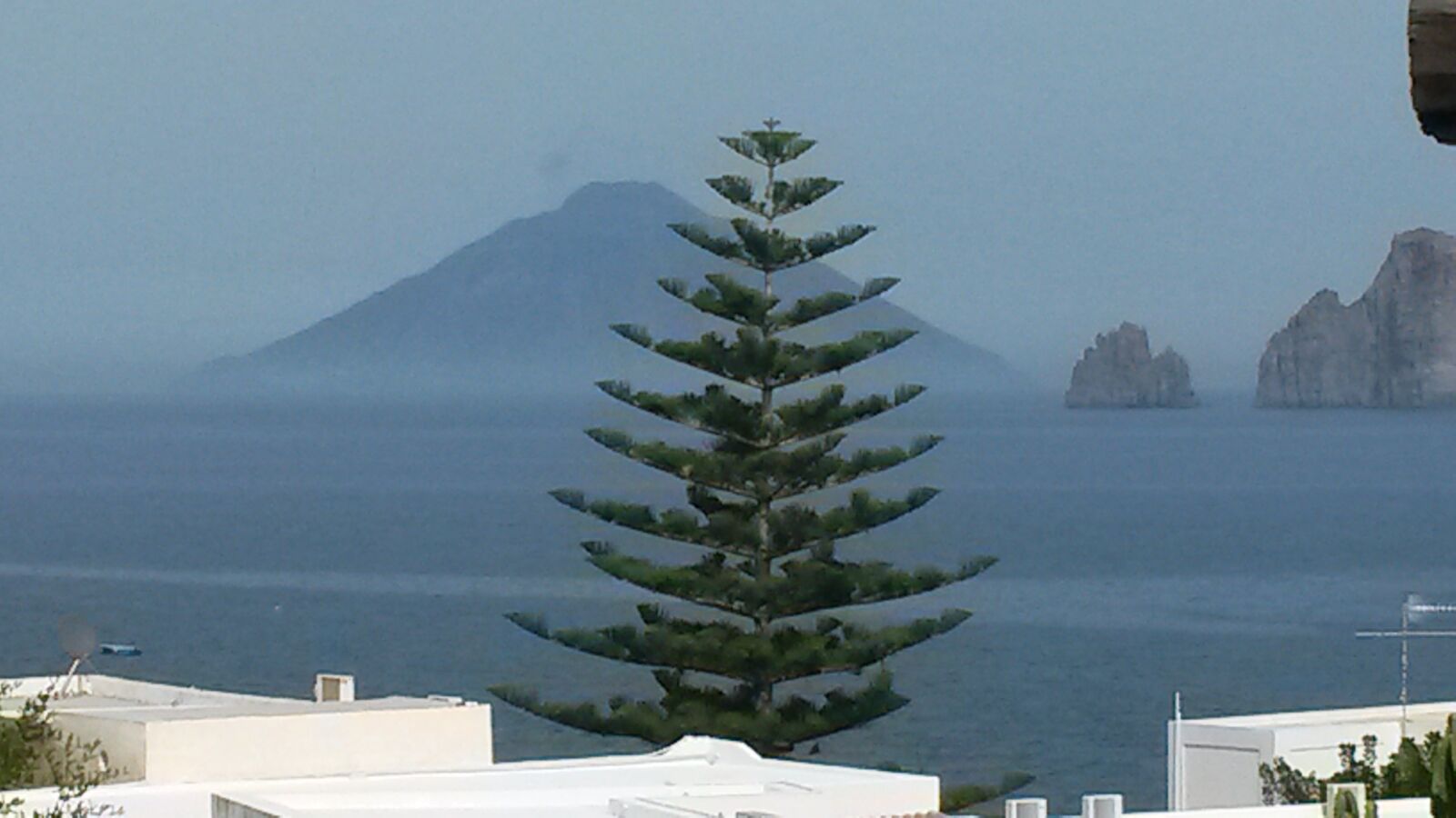 Samsung Galaxy S4 Mini sample photo. Nature, sea, tree photography