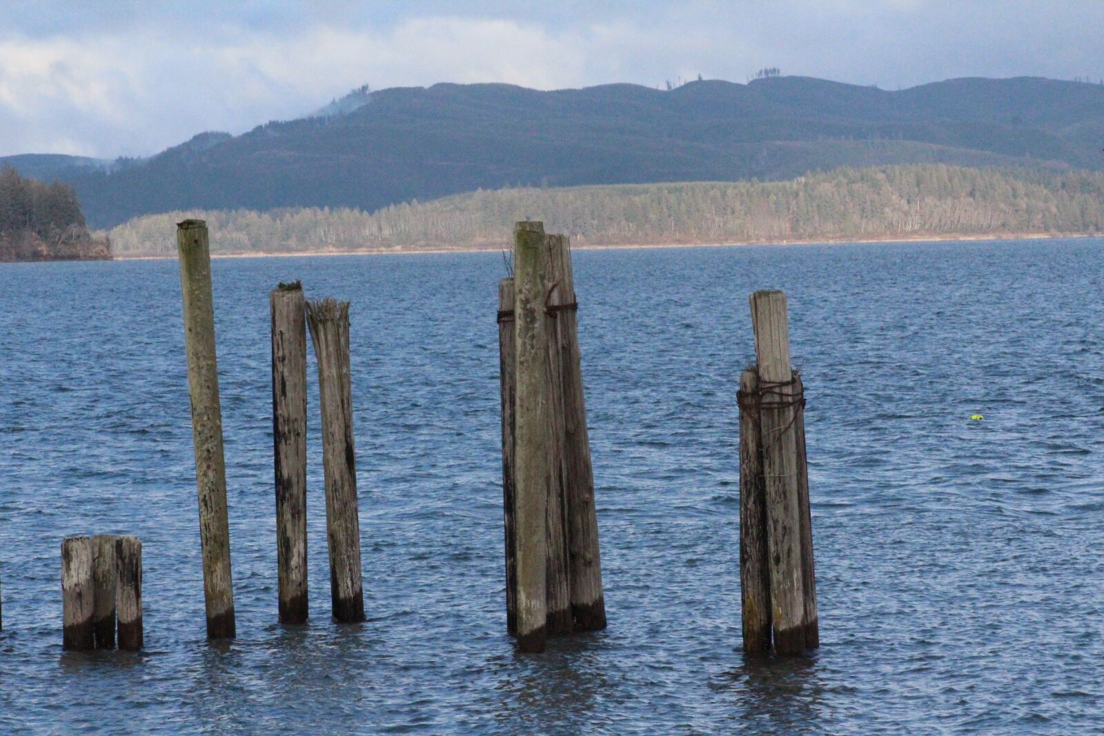 Canon EOS 1200D (EOS Rebel T5 / EOS Kiss X70 / EOS Hi) + Canon EF75-300mm f/4-5.6 sample photo. Pillars, pier, posts photography