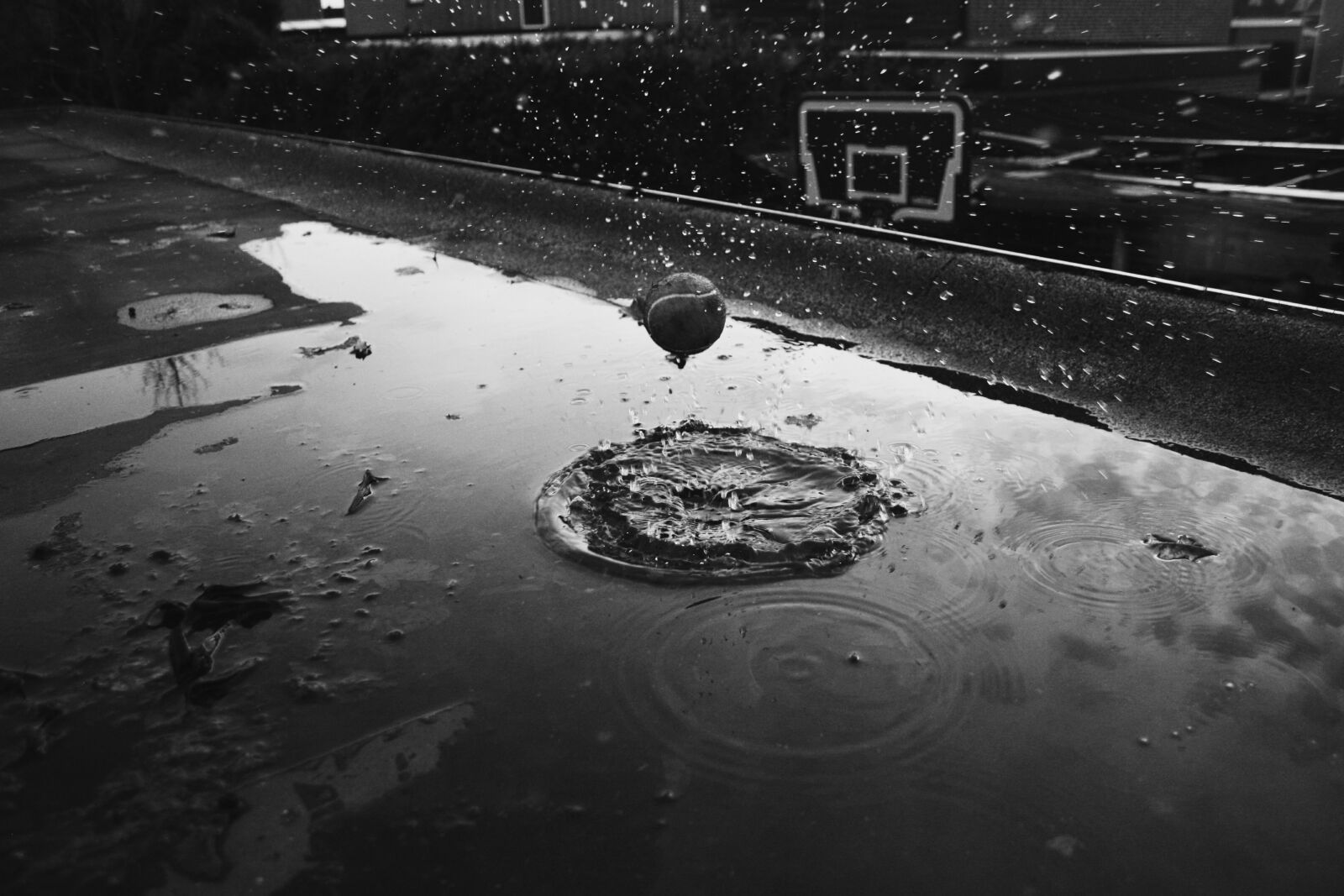 Canon EOS 450D (EOS Rebel XSi / EOS Kiss X2) sample photo. Basketball, black, and, white photography