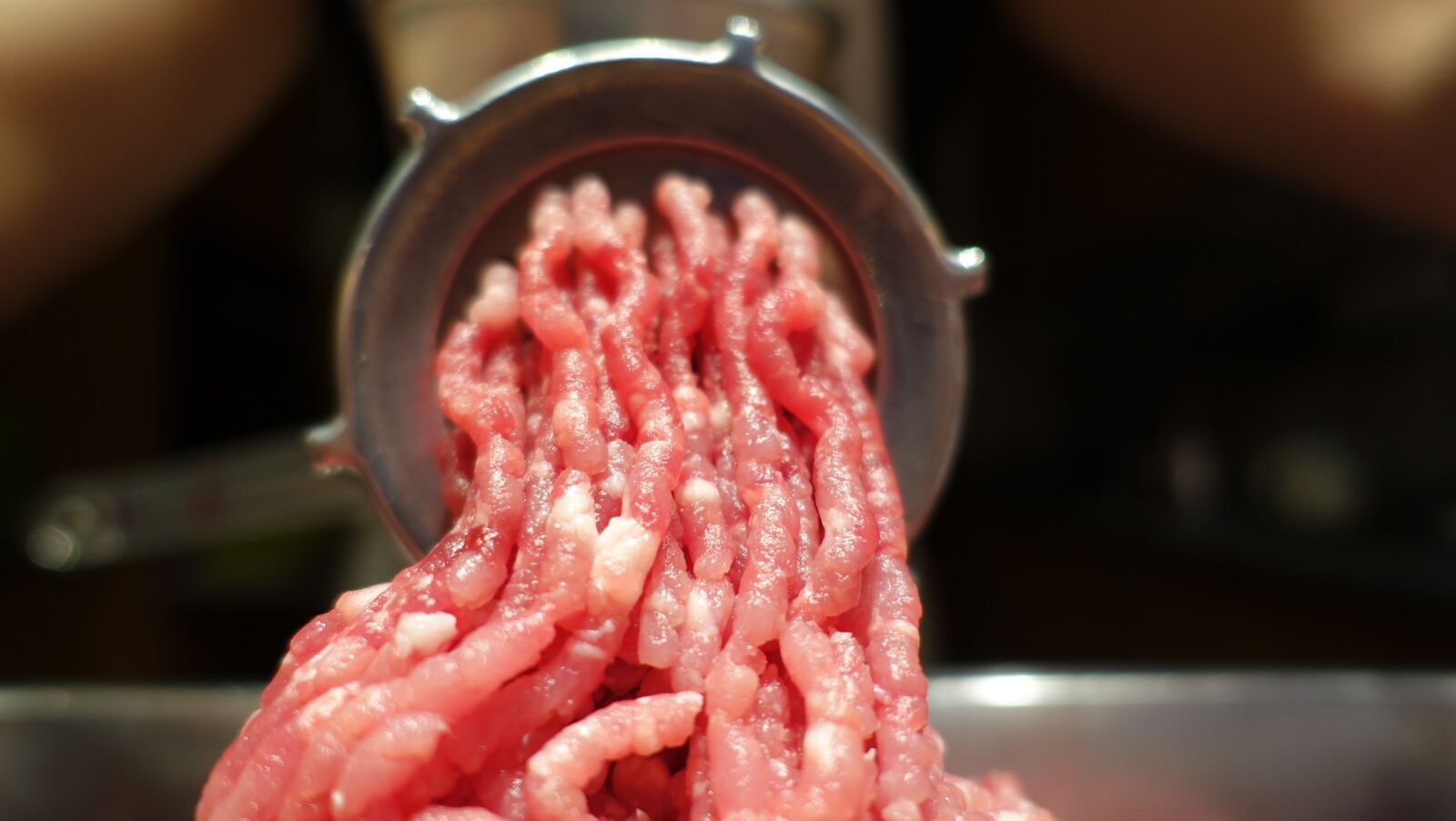 Sony Cyber-shot DSC-RX100 III sample photo. Meat, minced meat, food photography