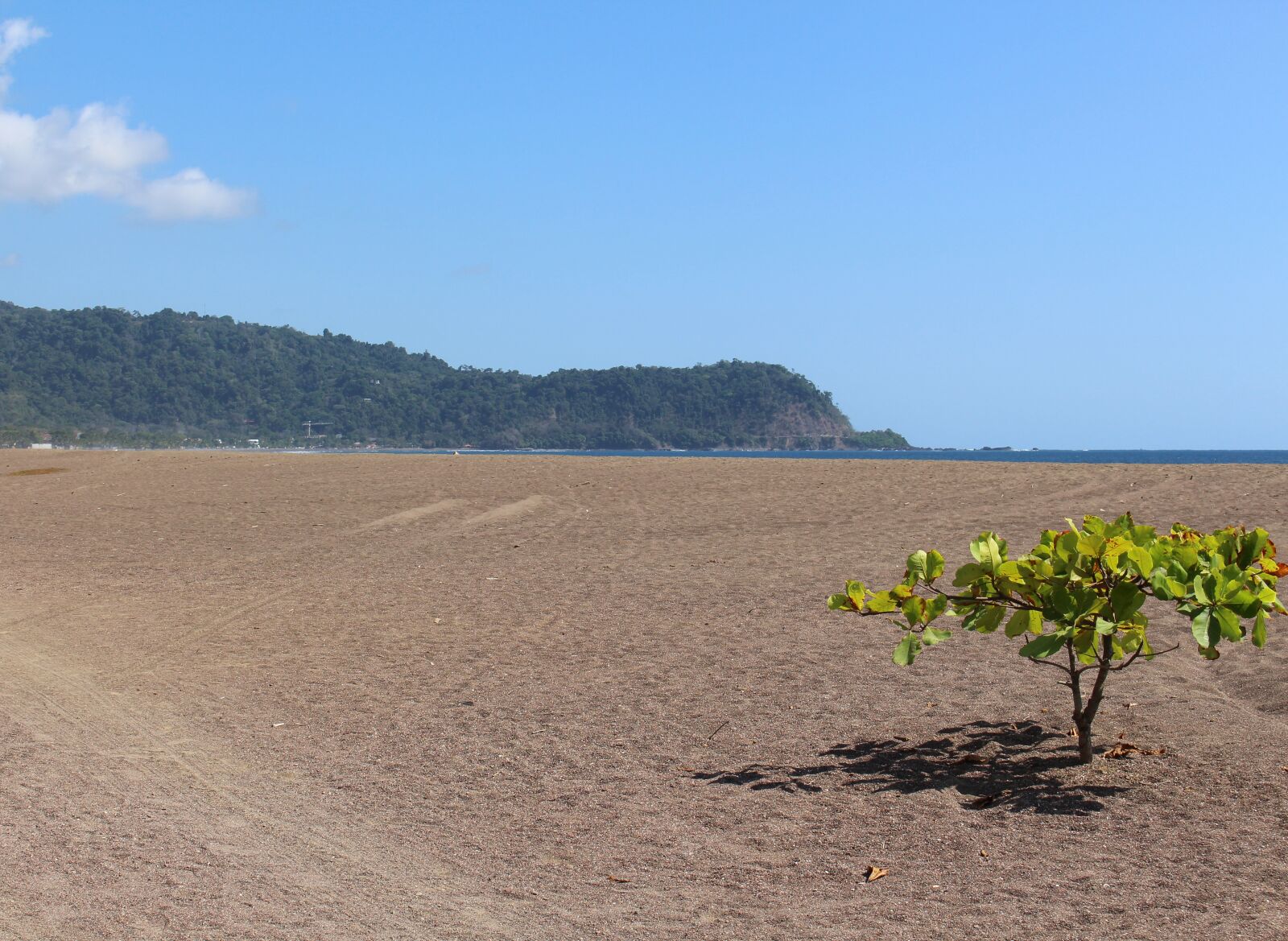 Canon EOS 700D (EOS Rebel T5i / EOS Kiss X7i) sample photo. Costa rica, tropical, jungle photography