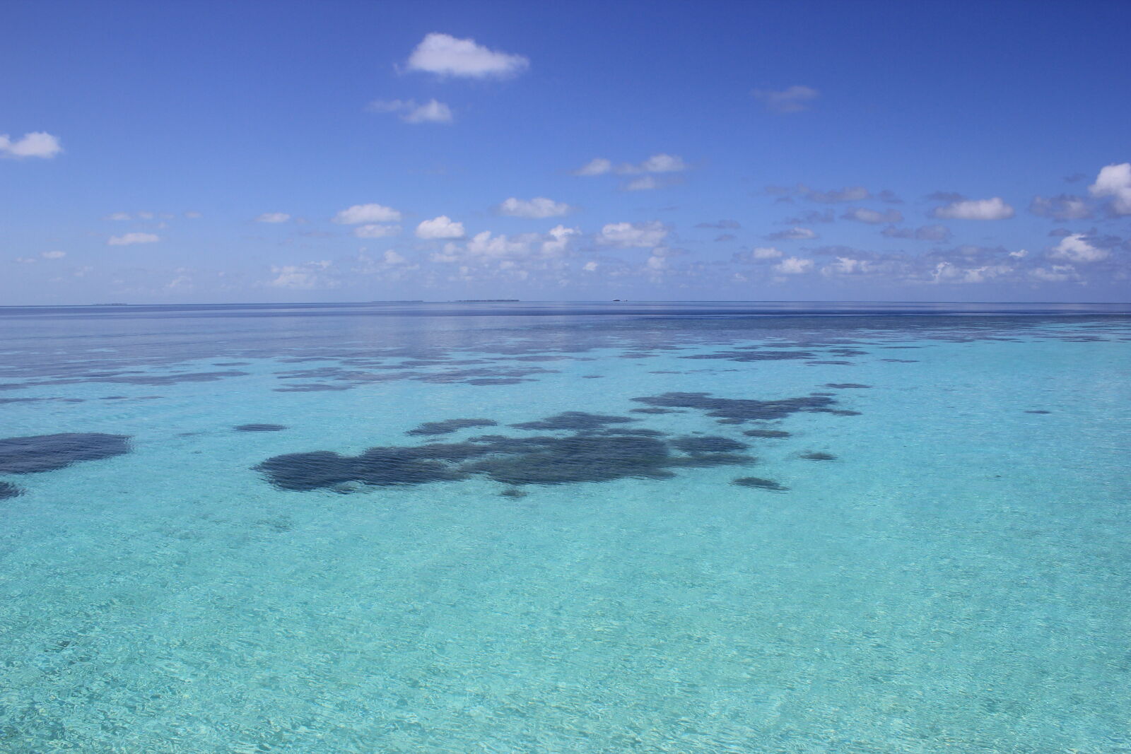 Canon EOS 550D (EOS Rebel T2i / EOS Kiss X4) sample photo. Coral, holiday, lagoon, maldives photography