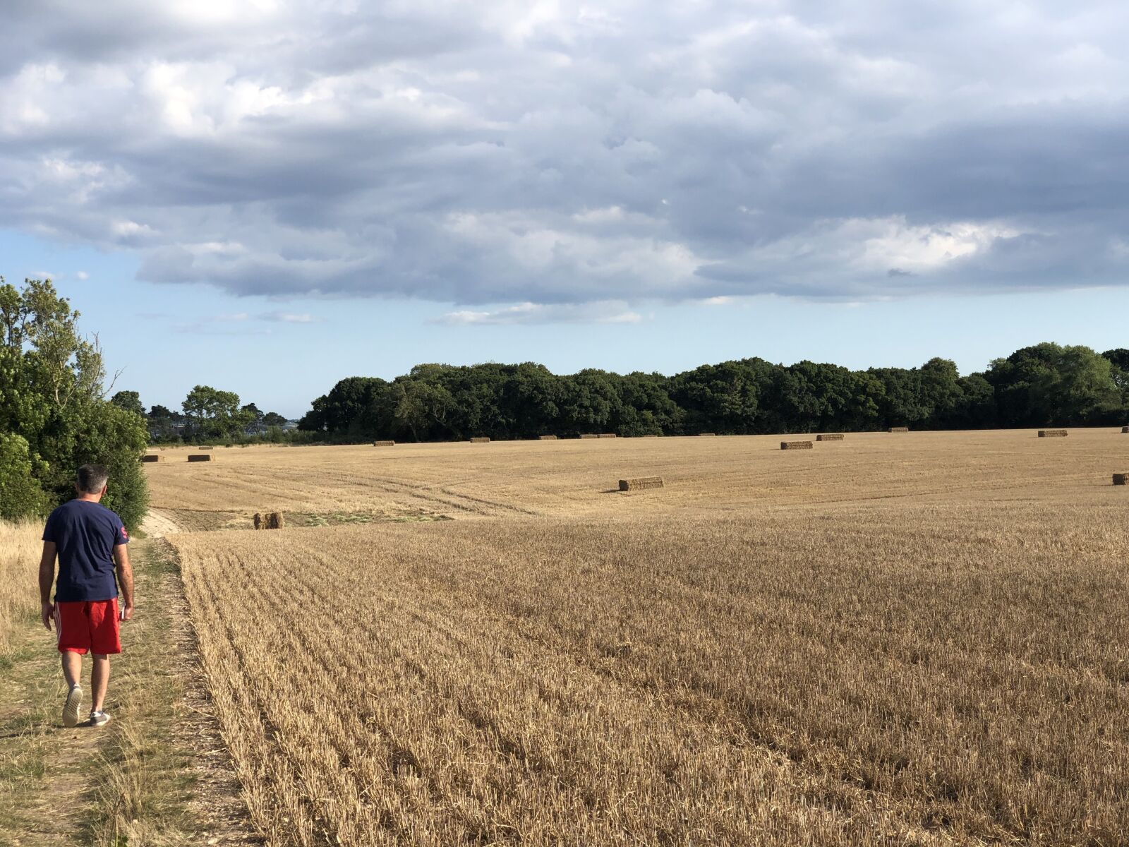 iPhone X back dual camera 6mm f/2.4 sample photo. Hay, countryside, field photography