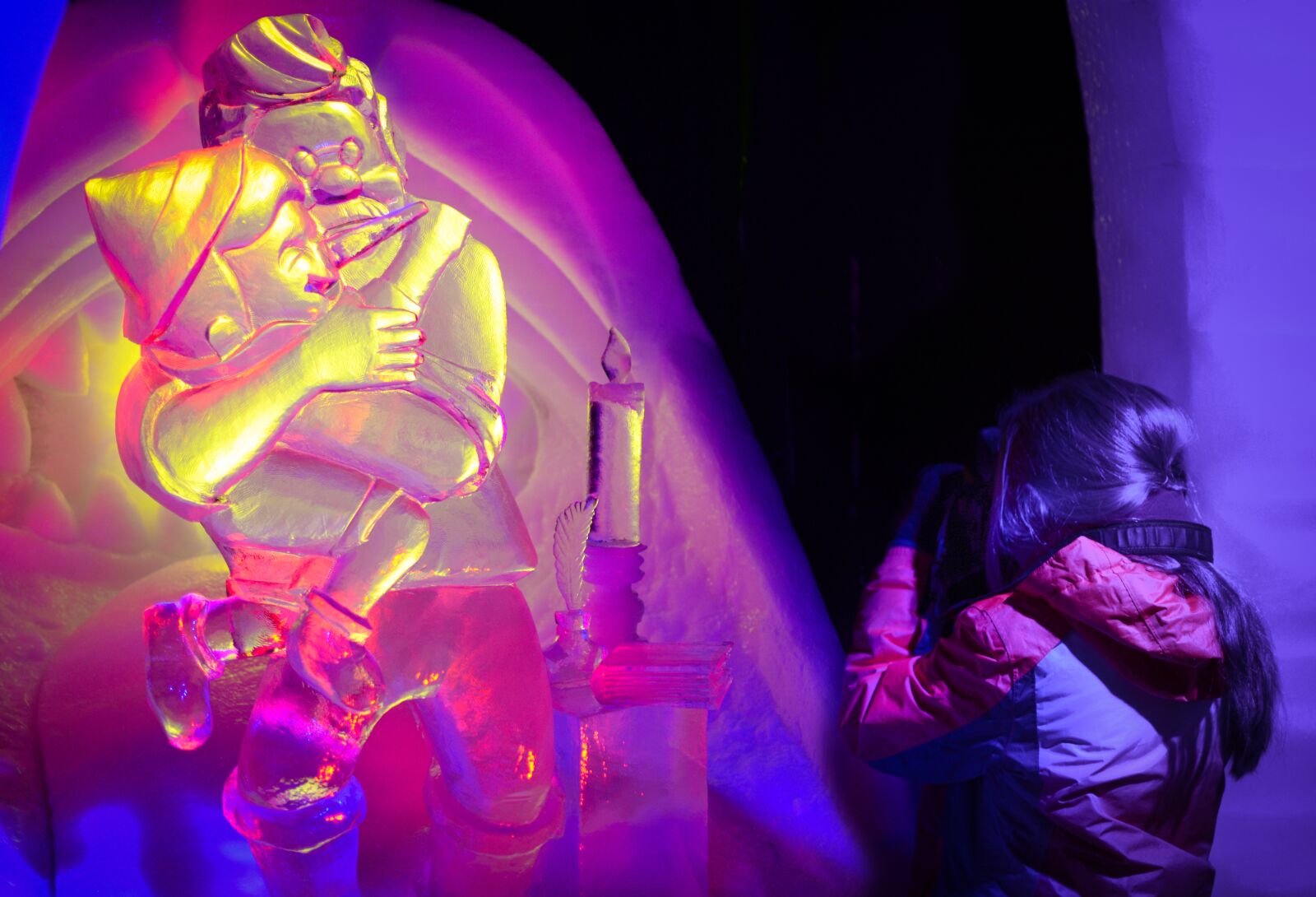 Nikon D610 sample photo. Ice, sculpture, pink photography