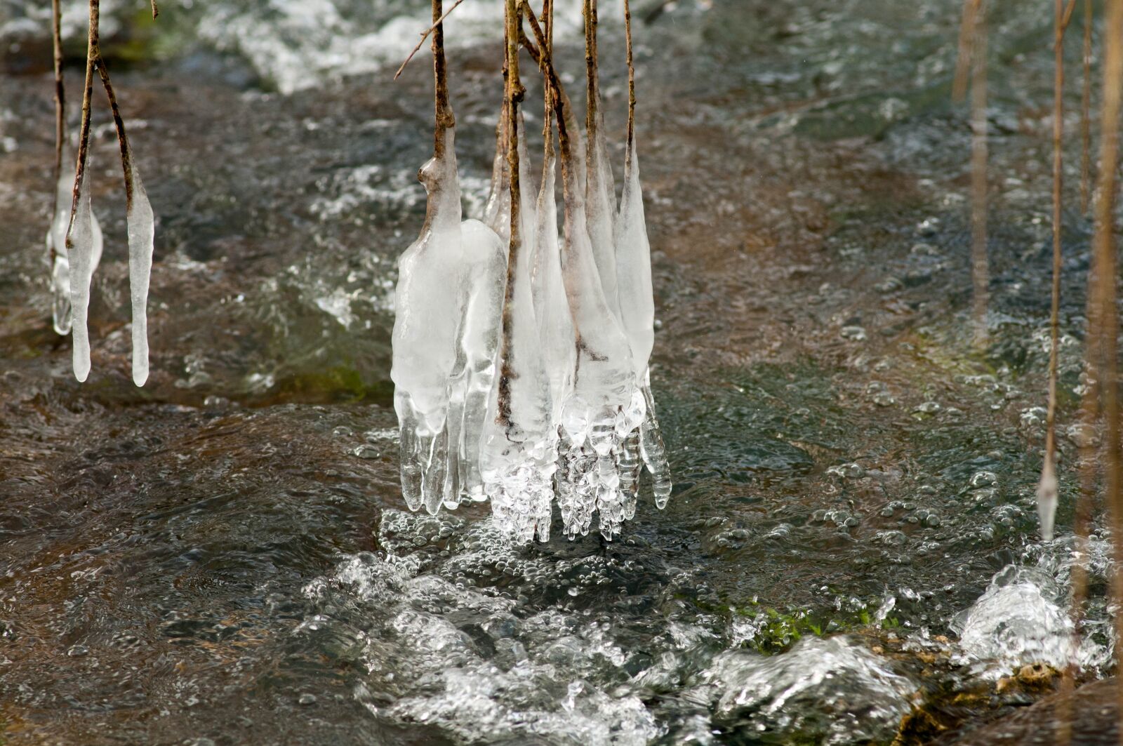 Nikon D300S sample photo. Nature, body of water photography