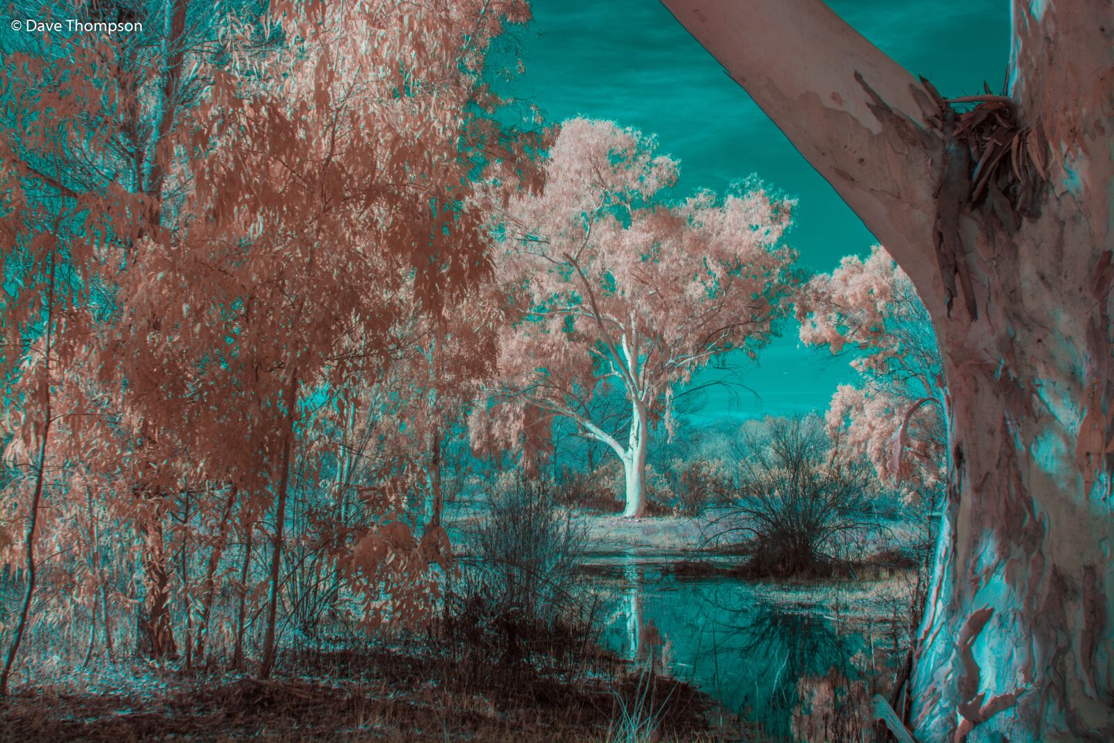 Nikon D7100 sample photo. Infrared, landscape, scenic photography