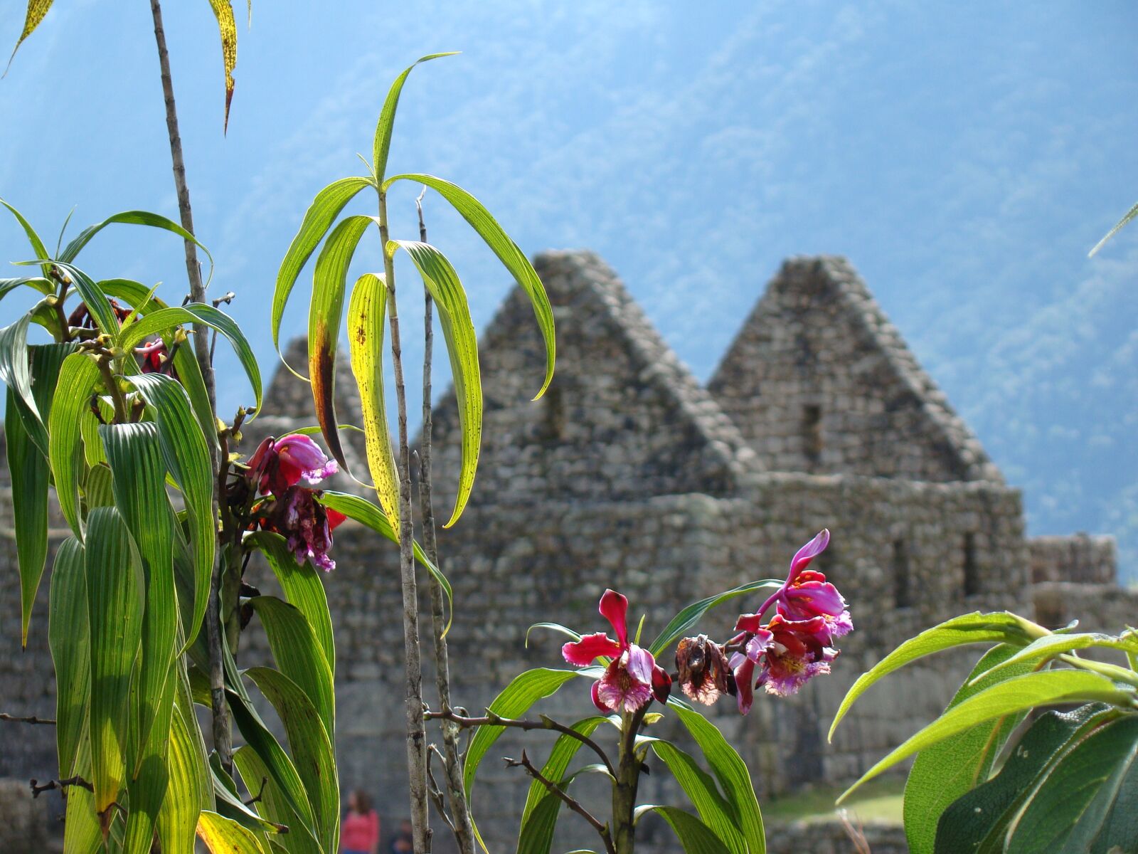 Sony Cyber-shot DSC-H50 sample photo. Machu picchu, peru, inca photography