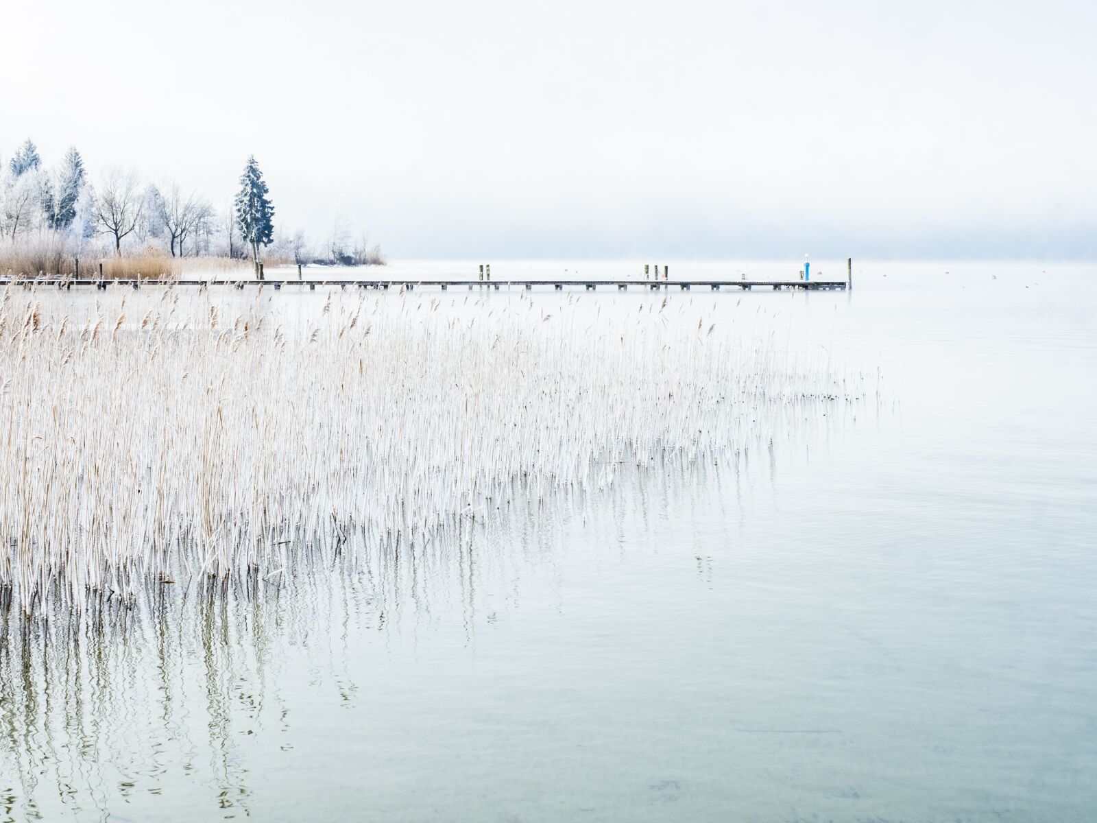 Olympus OM-D E-M5 II + Olympus M.Zuiko Digital ED 12-40mm F2.8 Pro sample photo. Lake, mondsee, water photography