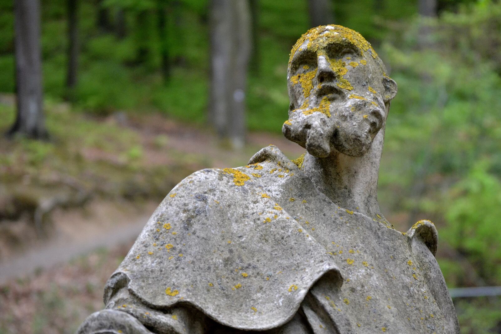 Nikon D3100 sample photo. The statue of, art photography