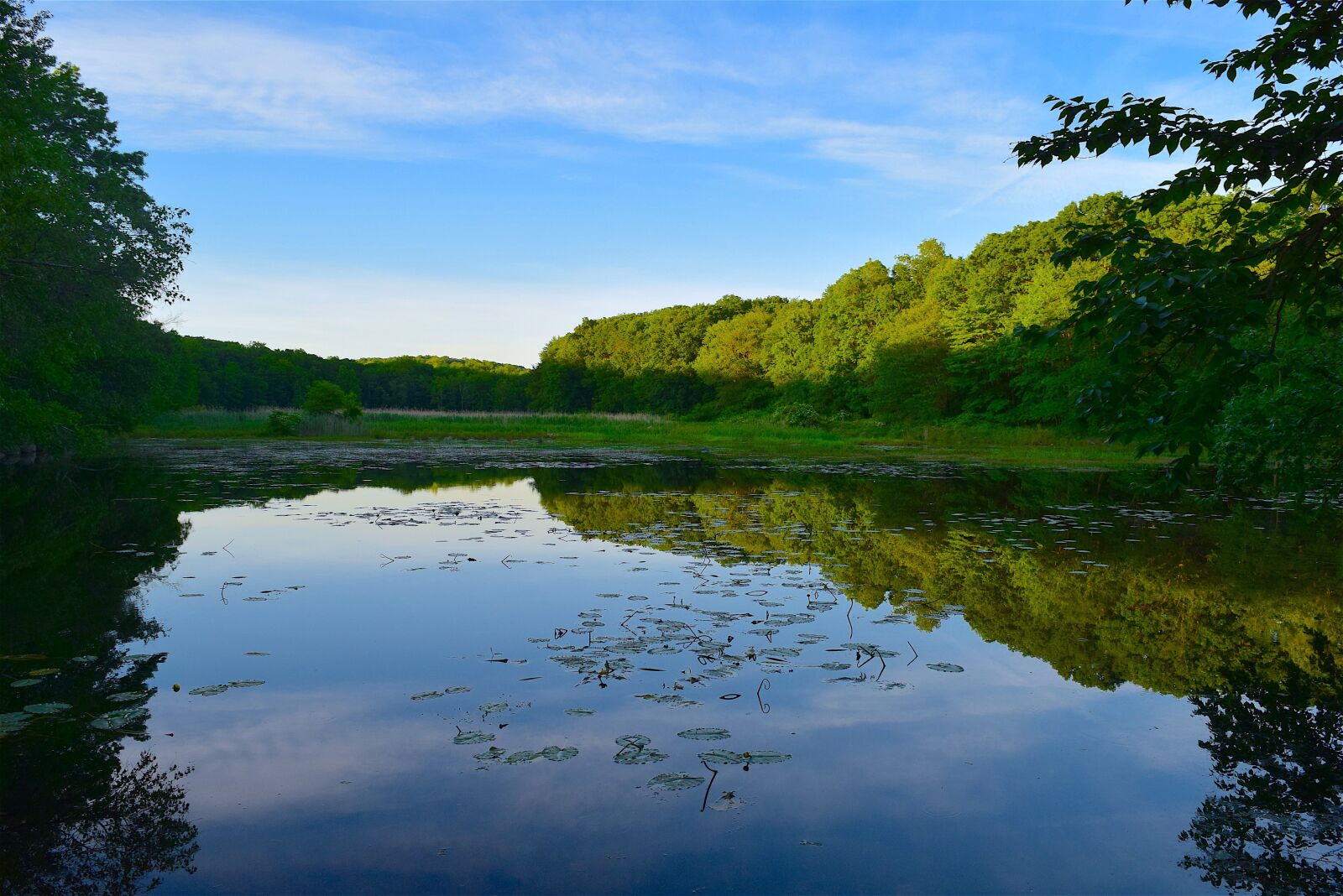 Nikon D3300 sample photo. Lake, water, reflection photography