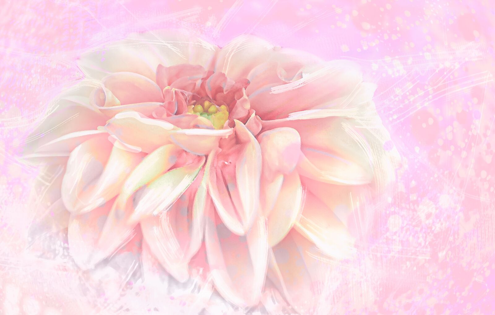 Nikon D5600 sample photo. Flower, pink, spring photography