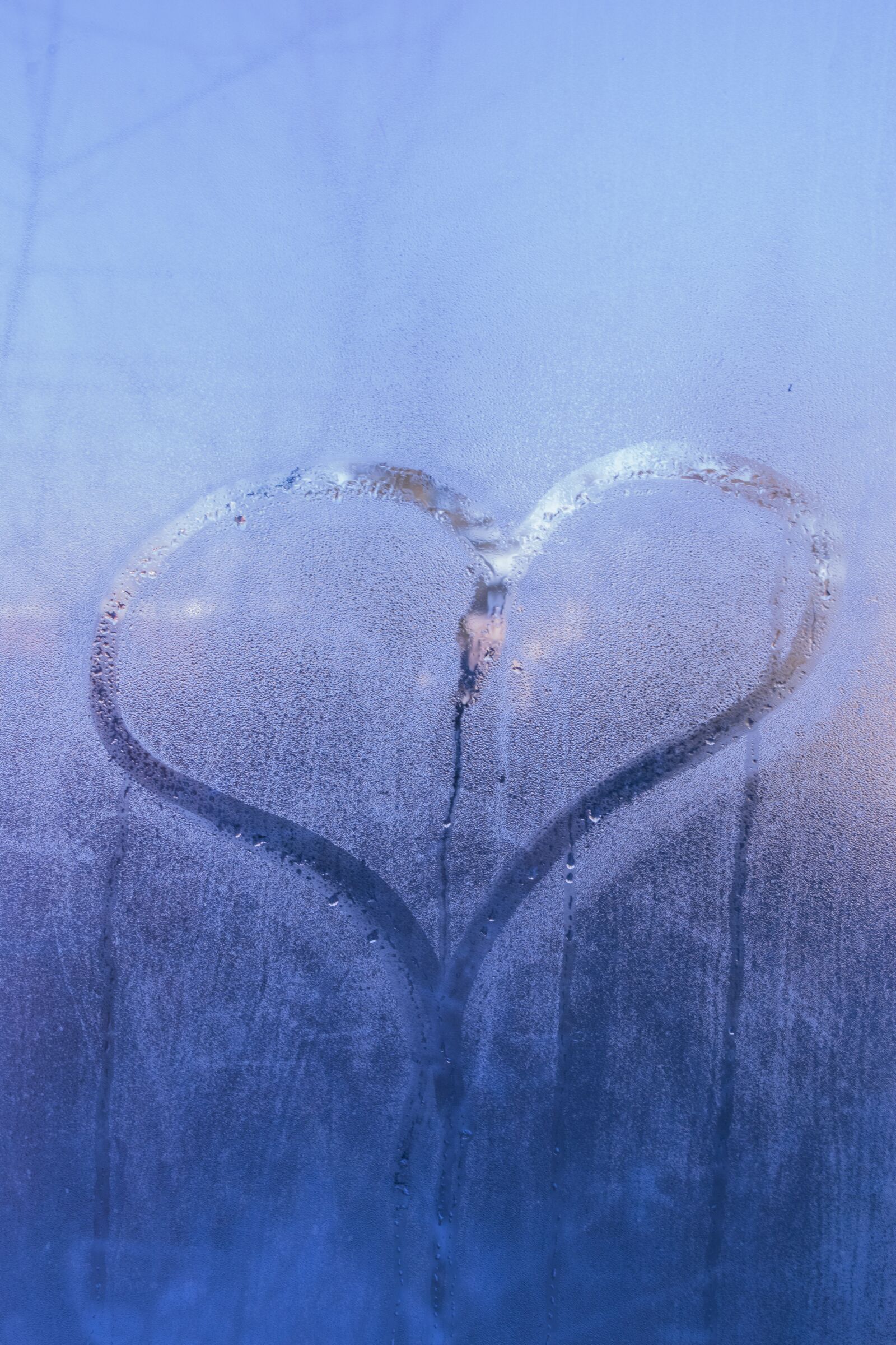Nikon D3300 sample photo. Winter, light, cold photography
