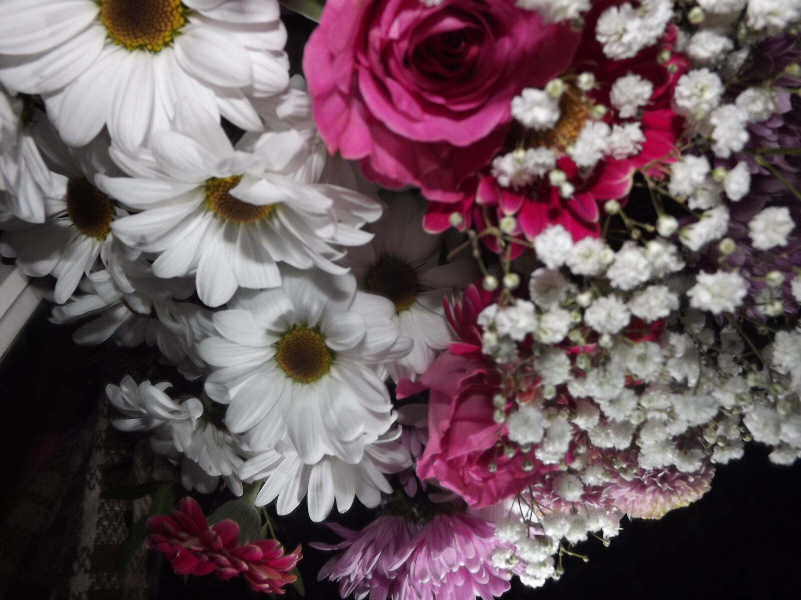 Fujifilm FinePix S3300 sample photo